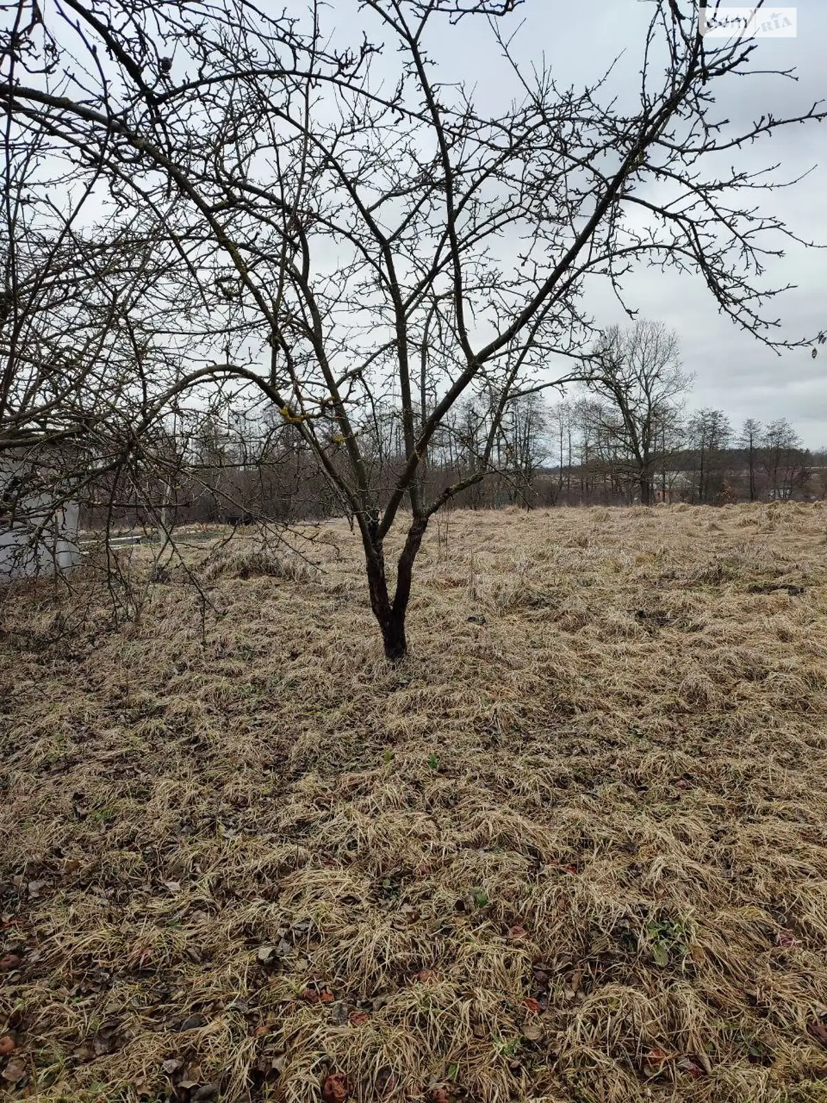 Продається земельна ділянка 20 соток у Вінницькій області, цена: 5500 $
