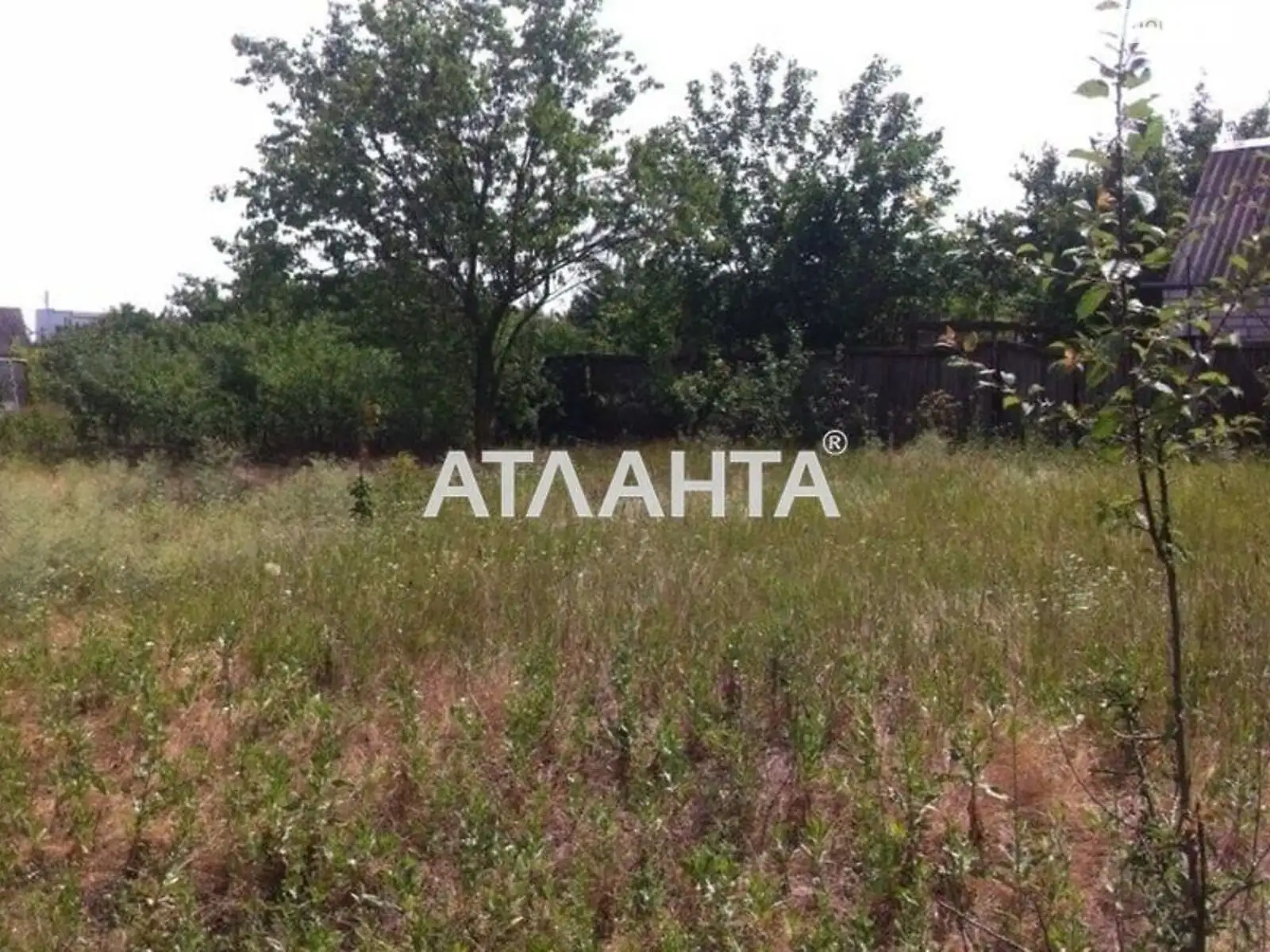 Продается земельный участок 6.25 соток в Одесской области - фото 3