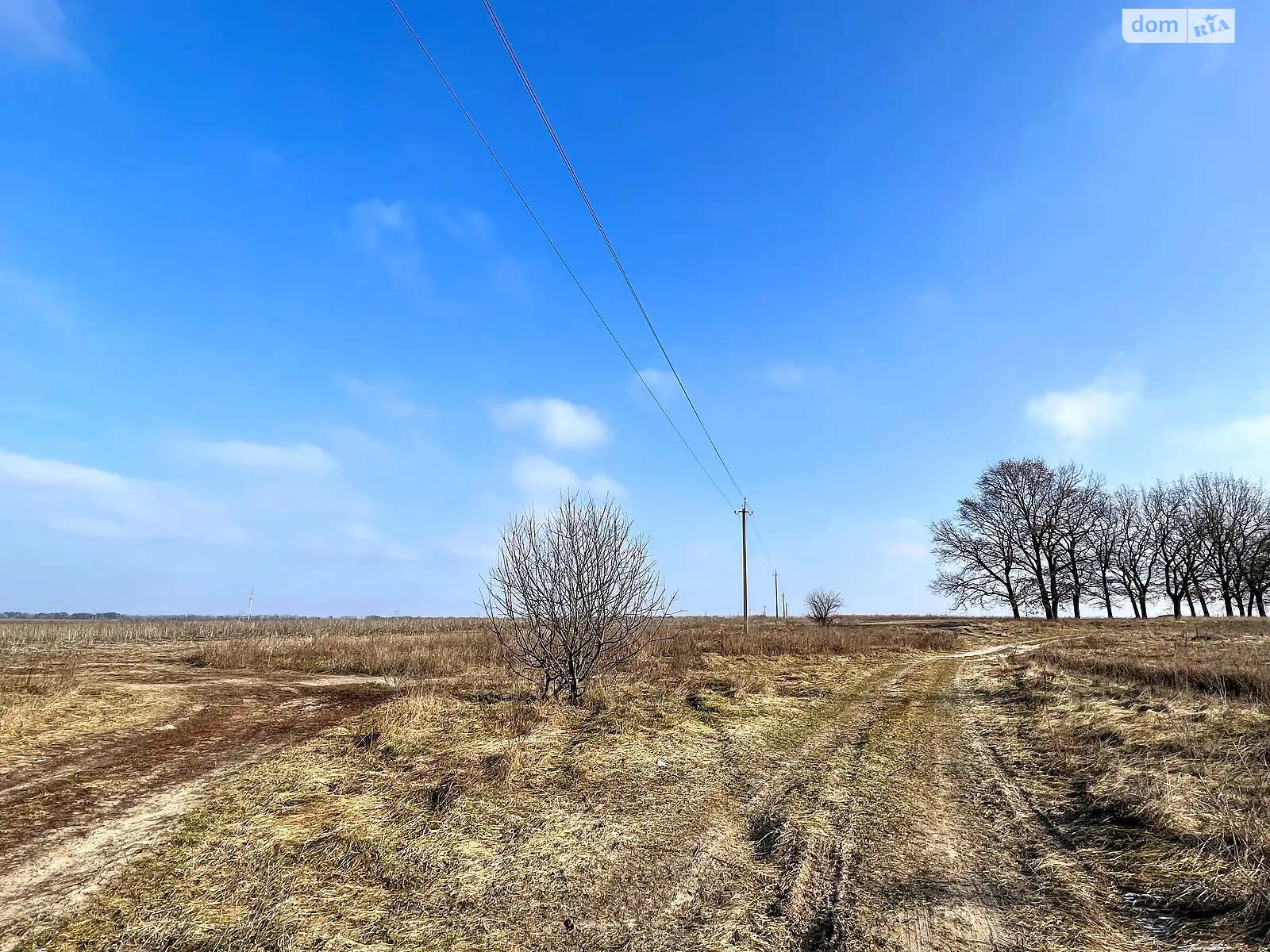 Продается земельный участок 80 соток в Киевской области - фото 3