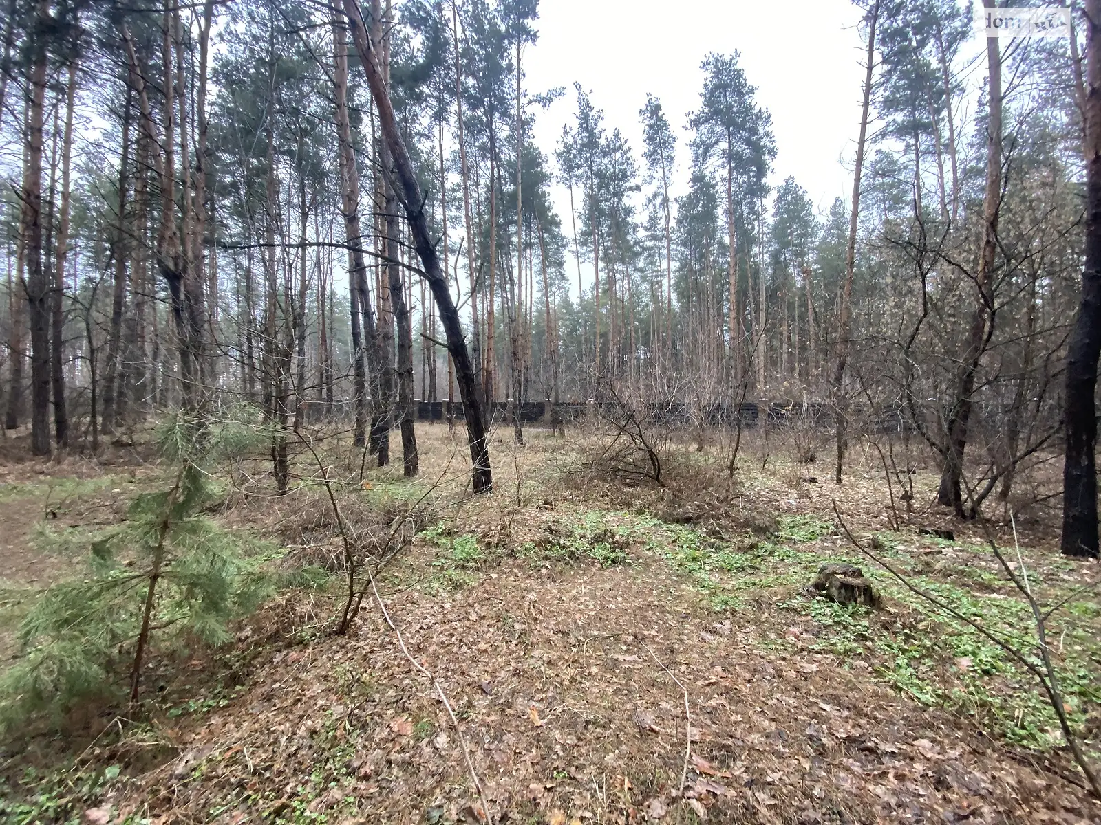 Продається земельна ділянка 25 соток у Дніпропетровській області, цена: 30000 $