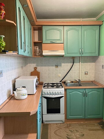 Продается 1-комнатная квартира 37 кв. м в Розовке, Молодіжна