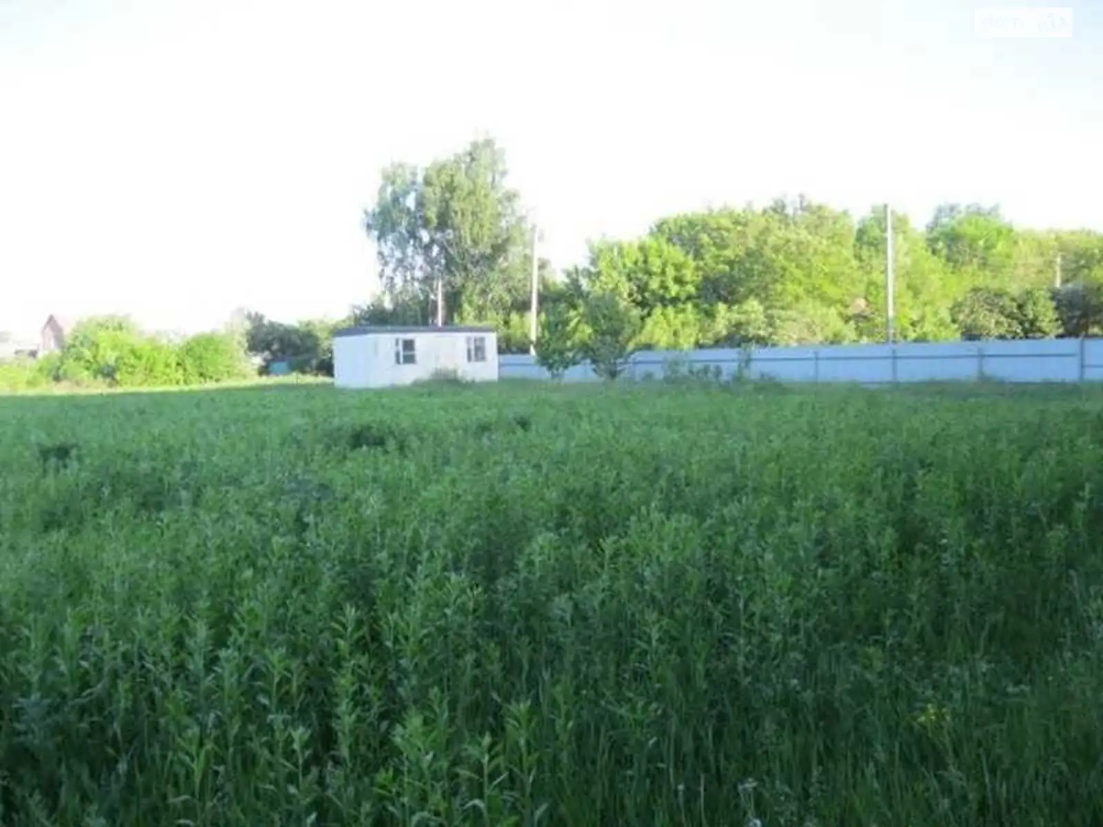 Продается земельный участок 33 соток в Полтавской области - фото 3