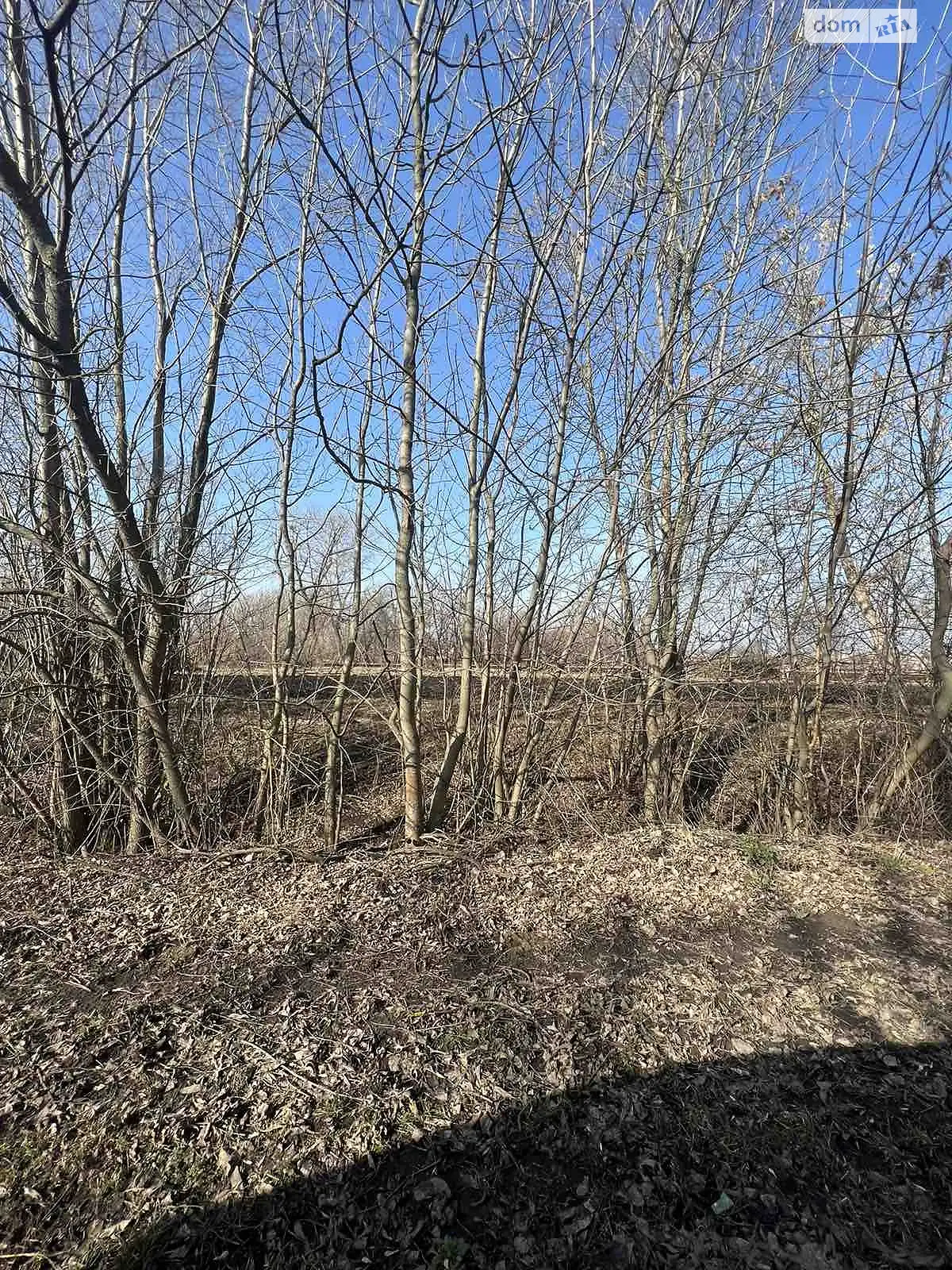 Продается земельный участок 34 соток в Винницкой области - фото 2