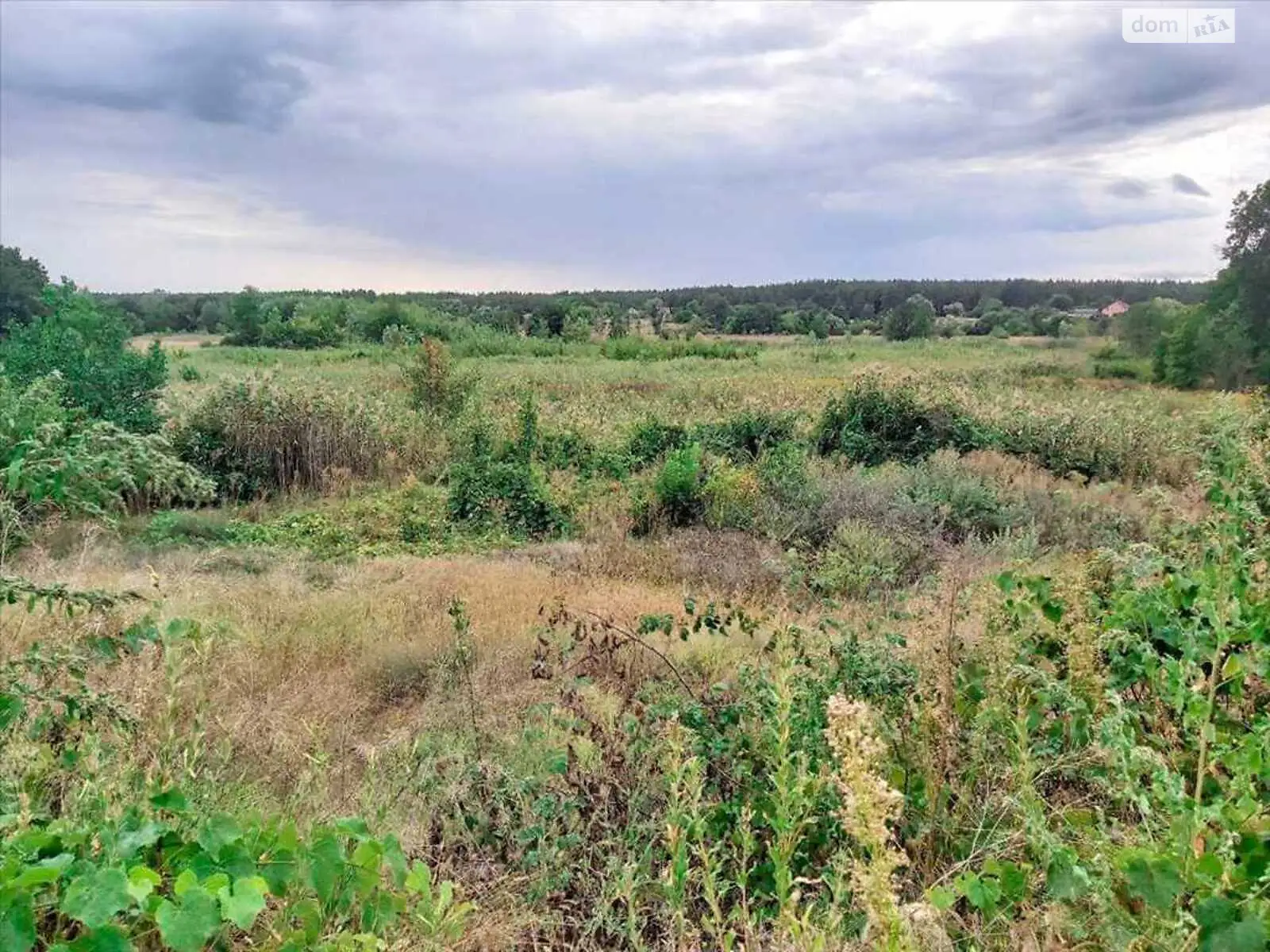 Продается земельный участок 10 соток в Полтавской области - фото 2