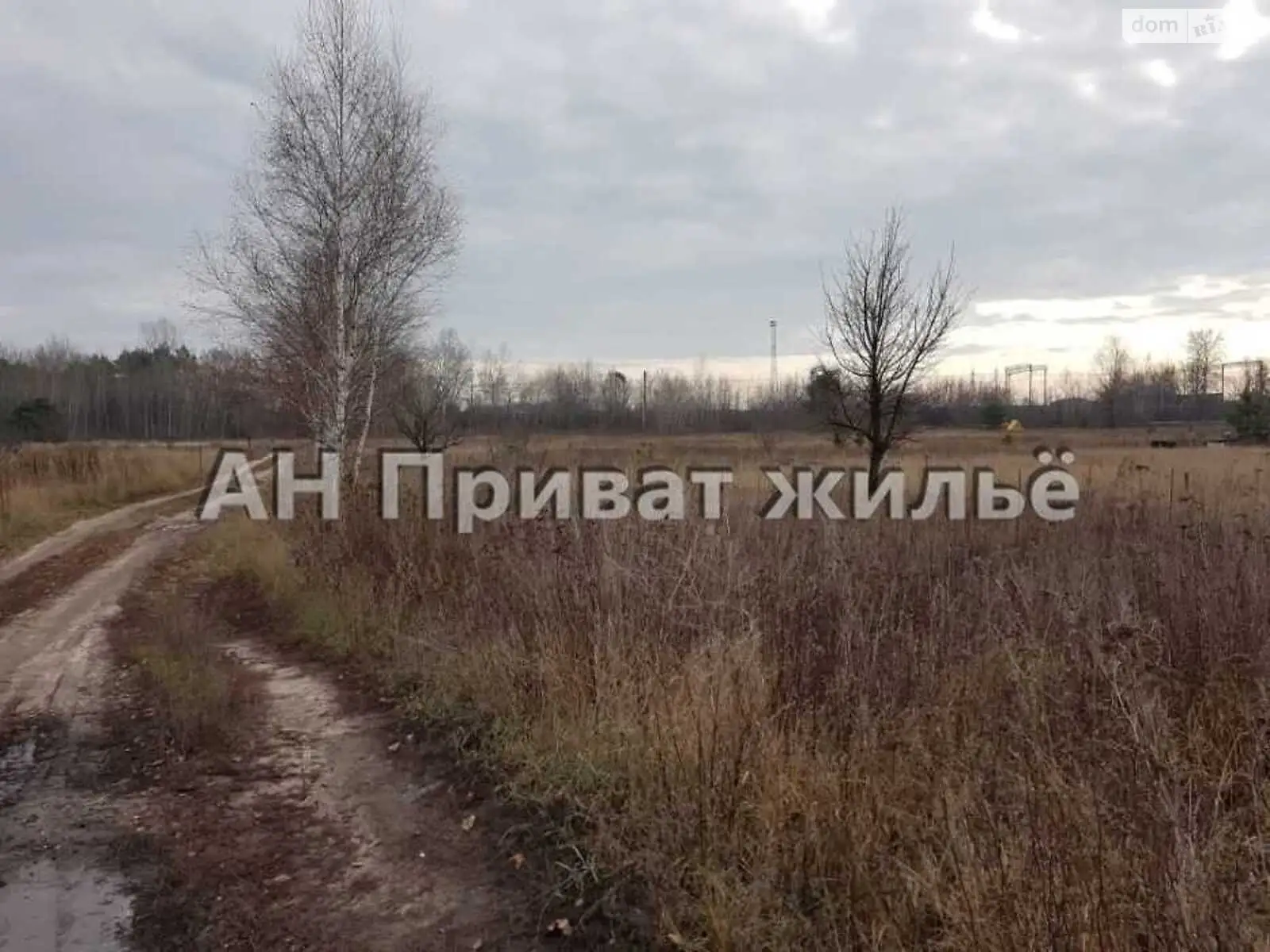 Продается земельный участок 24 соток в Полтавской области - фото 2