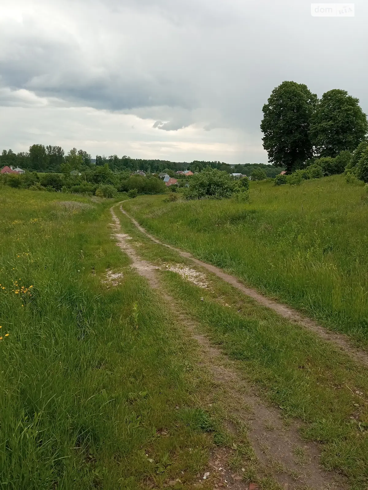 Продается земельный участок 18 соток в Львовской области - фото 3