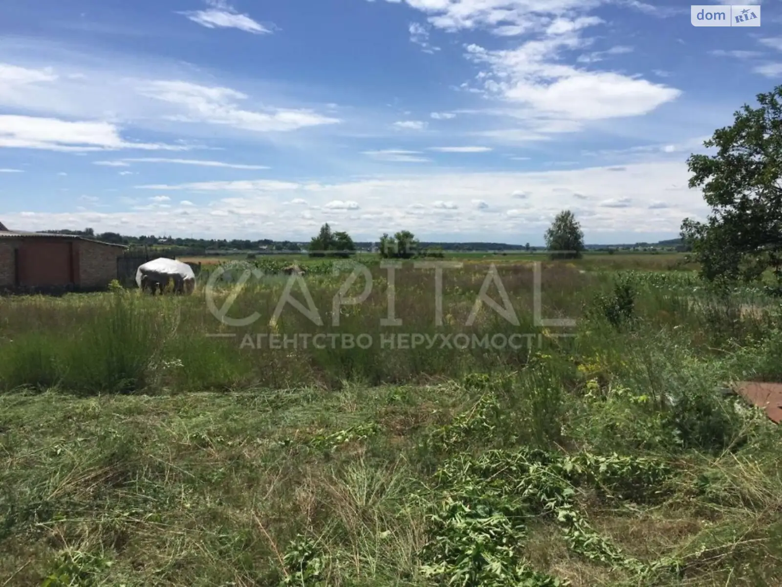 Продается земельный участок 29 соток в Киевской области - фото 3