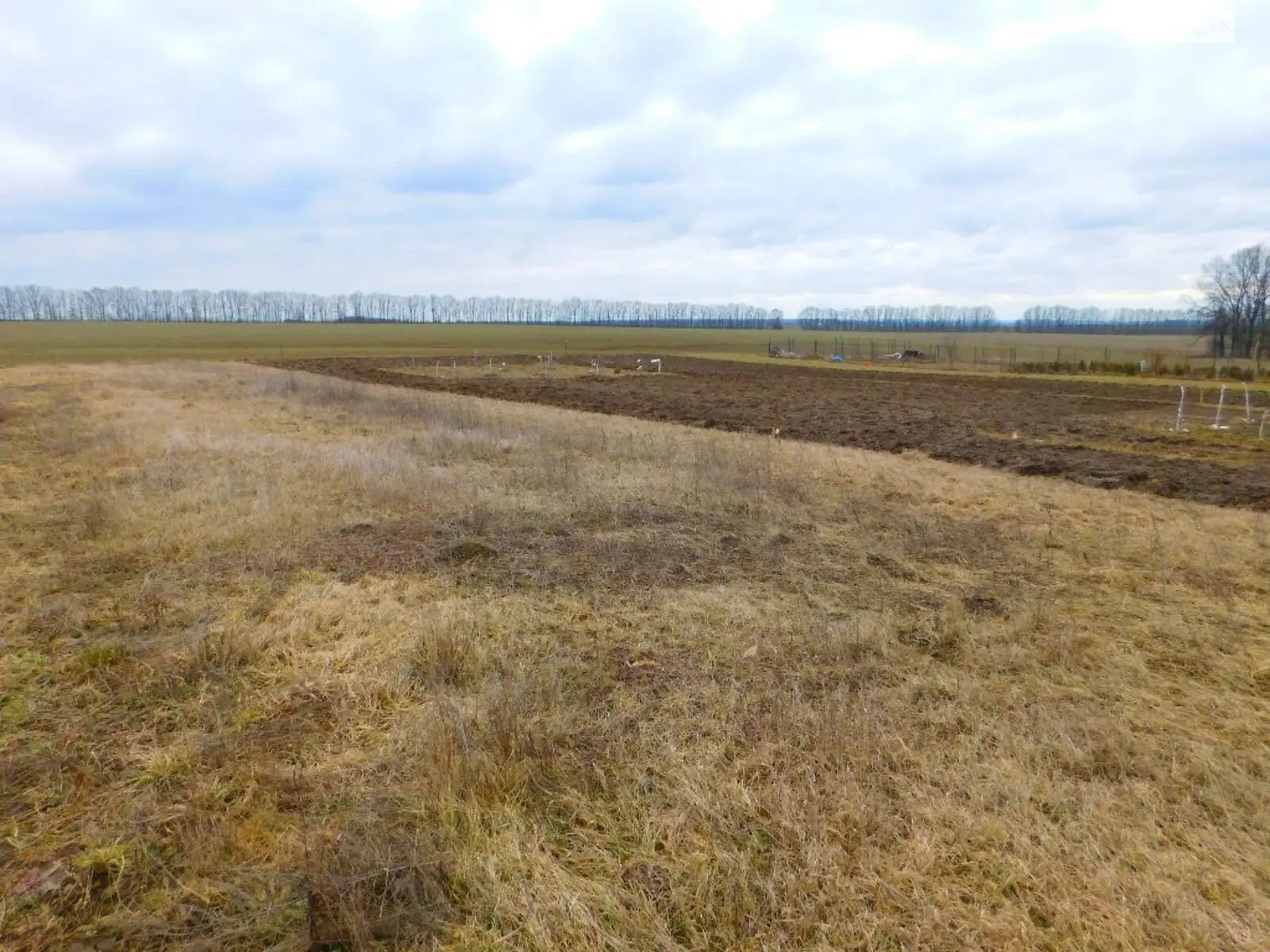 Продається земельна ділянка 17.5 соток у Вінницькій області - фото 2