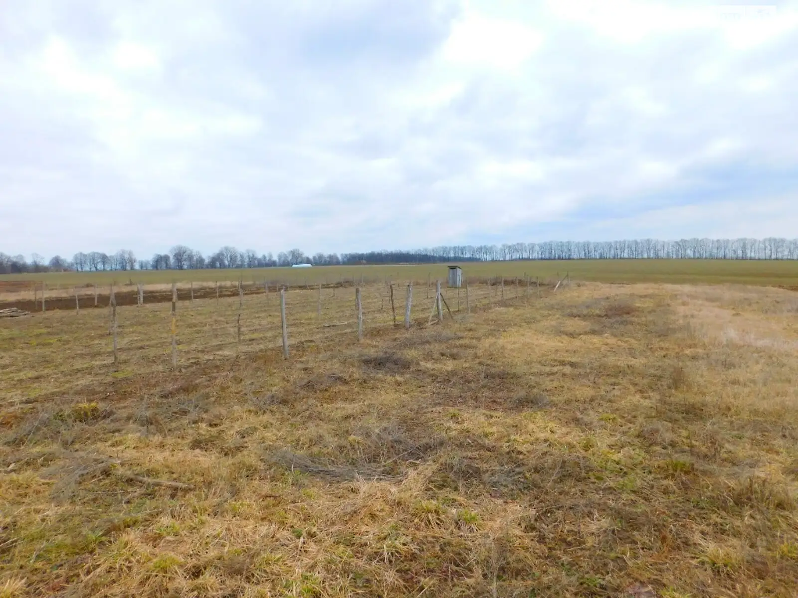 Продається земельна ділянка 17.5 соток у Вінницькій області - фото 3