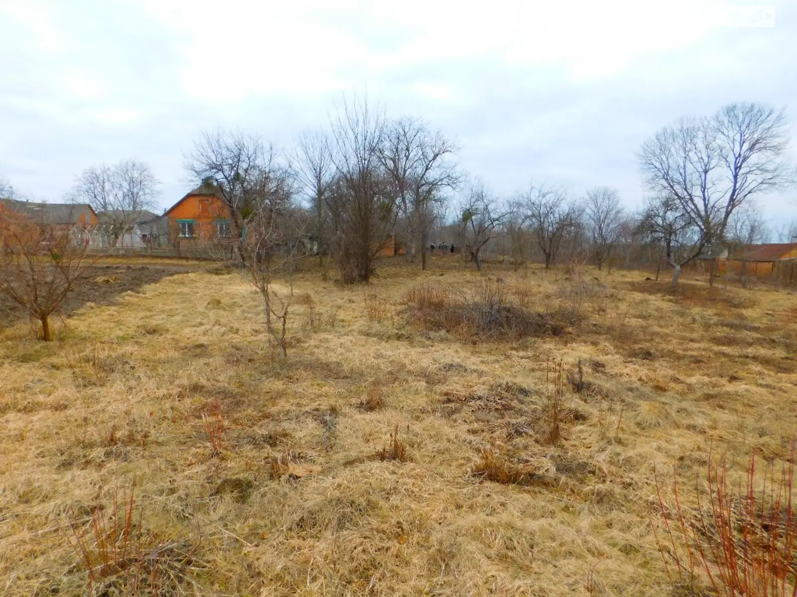 Продається земельна ділянка 32 соток у Вінницькій області - фото 3