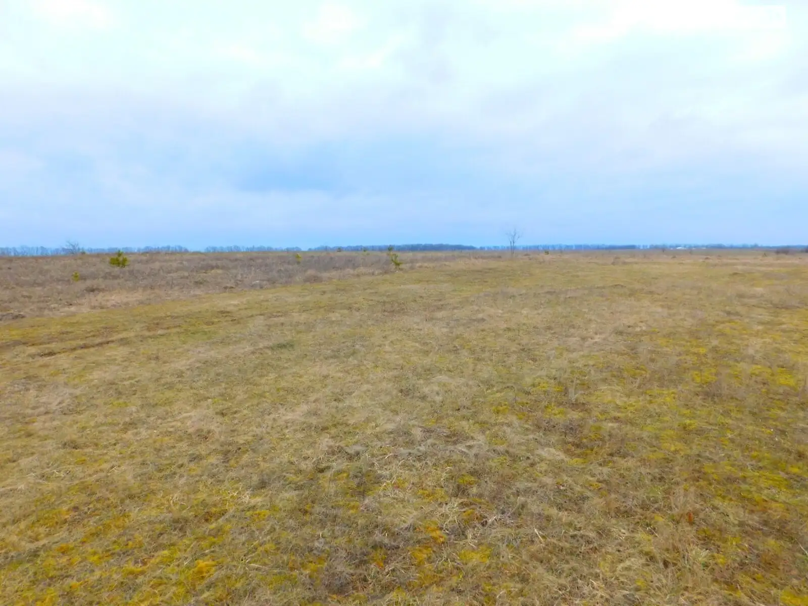 Продається земельна ділянка 27 соток у Вінницькій області - фото 2