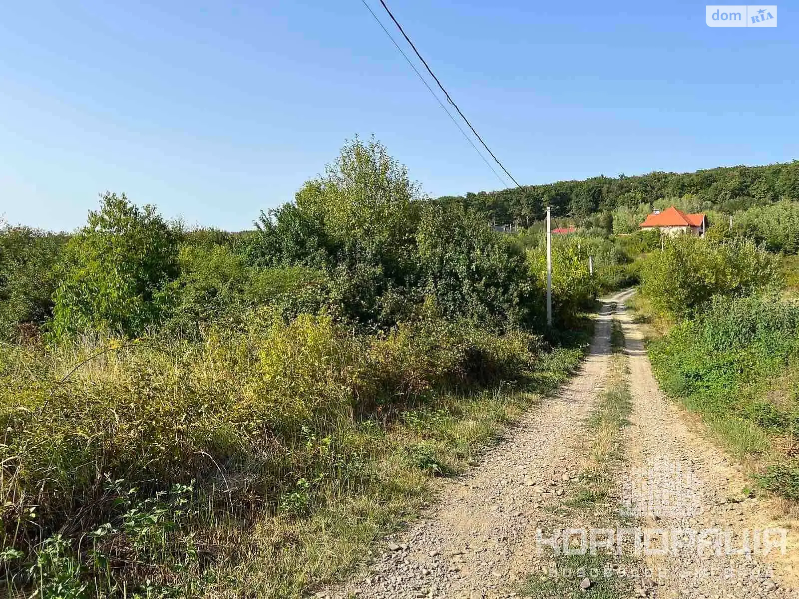 Продается земельный участок 6.23 соток в Закарпатской области - фото 3