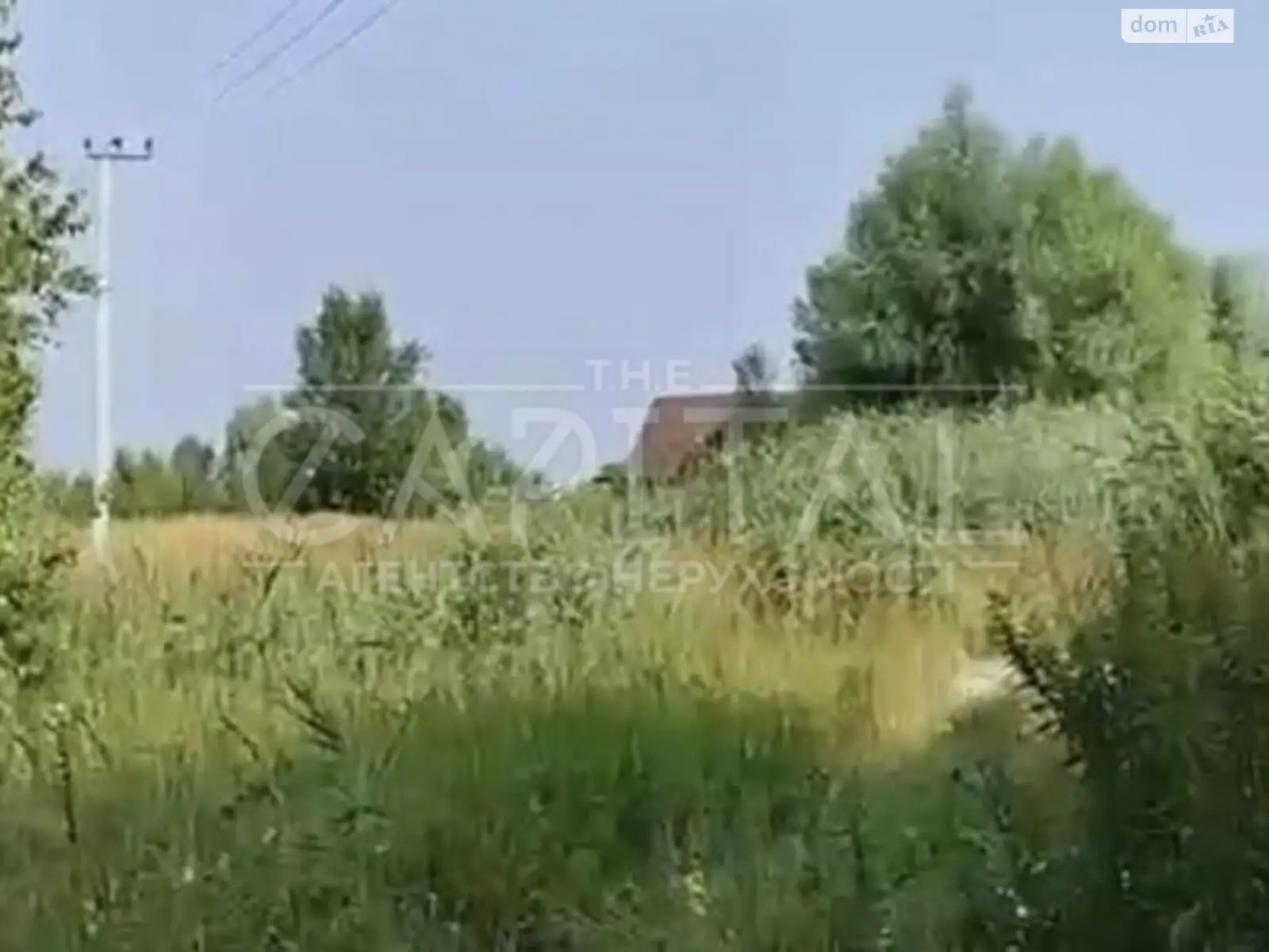 Продается земельный участок 96 соток в Киевской области - фото 3