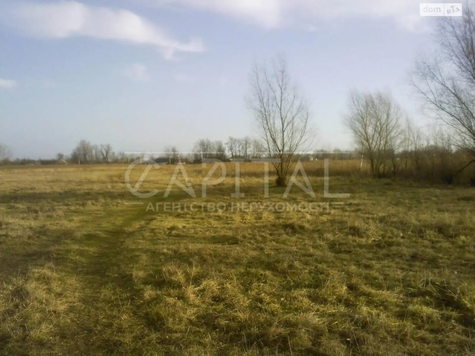 Продається земельна ділянка 3000 соток у Київській області - фото 2