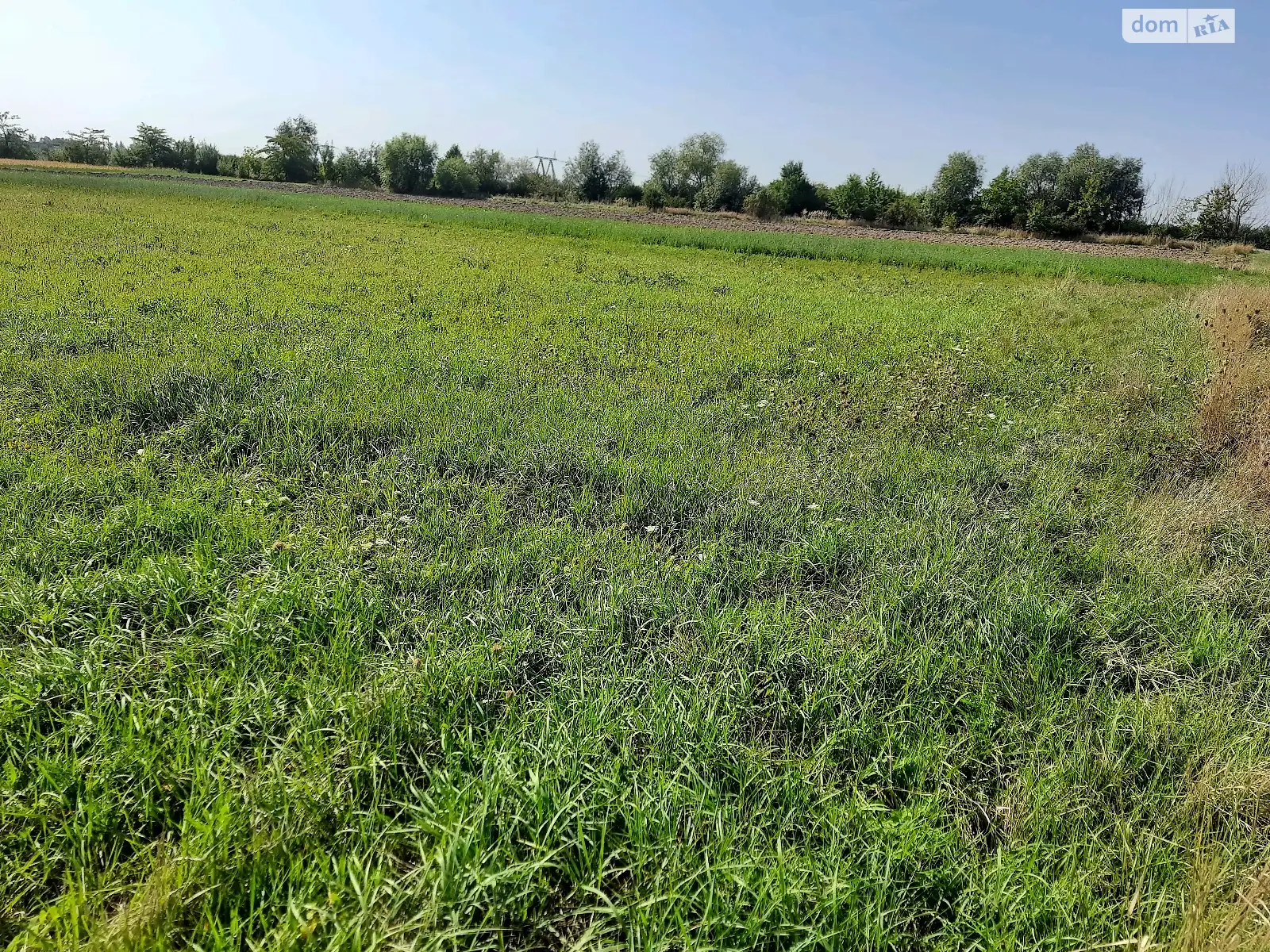 Барвинок, цена: 102000 $ - фото 1