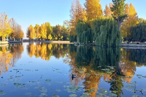 Земельные участки в Тернополе без посредников