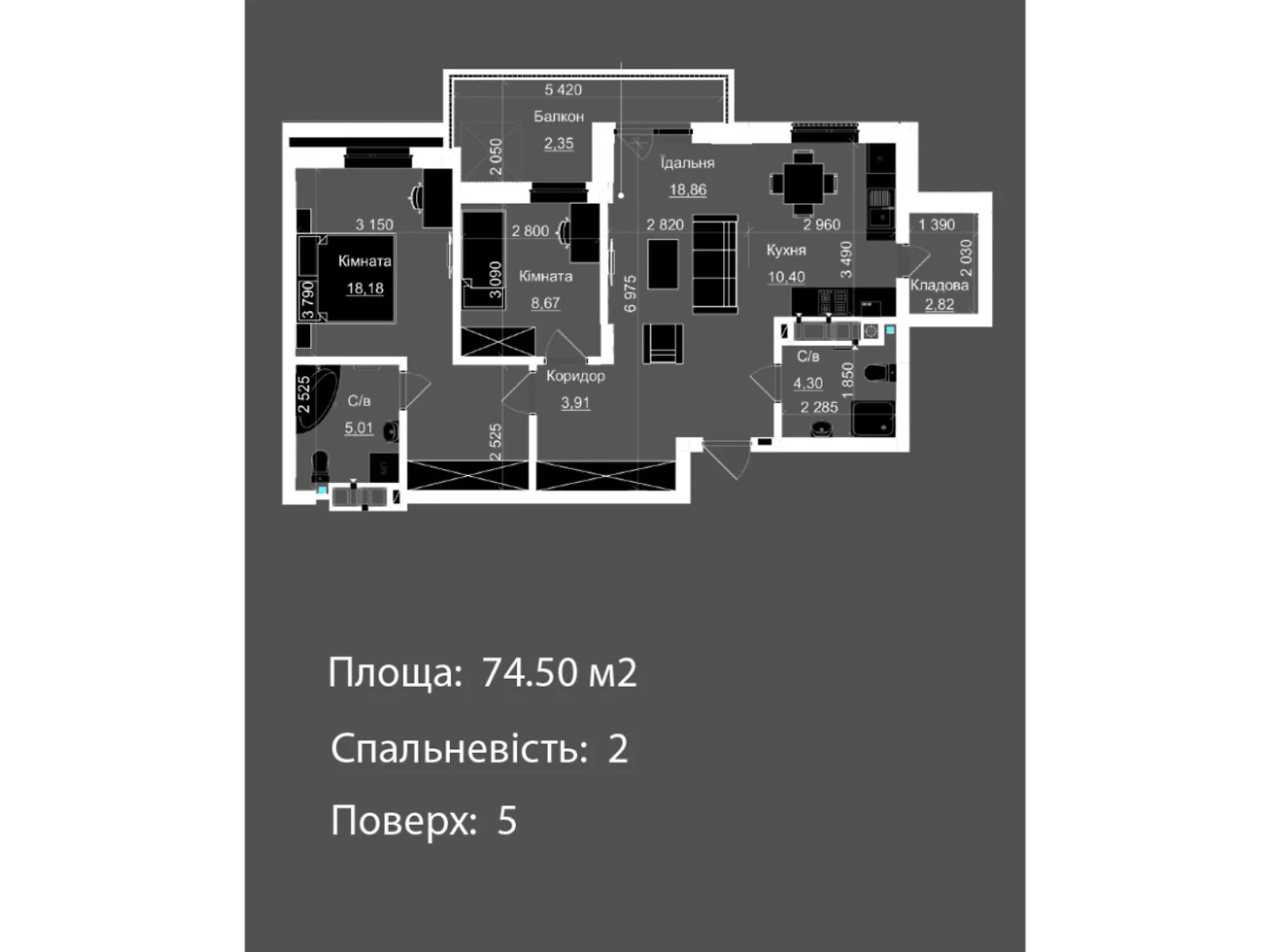 Продается 2-комнатная квартира 74.5 кв. м в Львове, ул. Пасечная, Пасечная