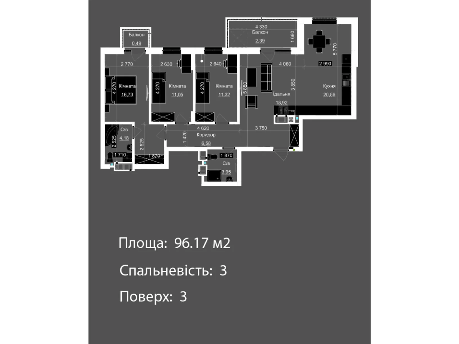 Продається 3-кімнатна квартира 96.12 кв. м у Львові, вул. Пасічна, Пасечная
