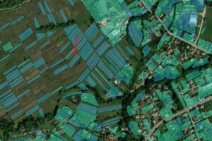 Купить землю сельскохозяйственного назначения в Ивано-Франковской области