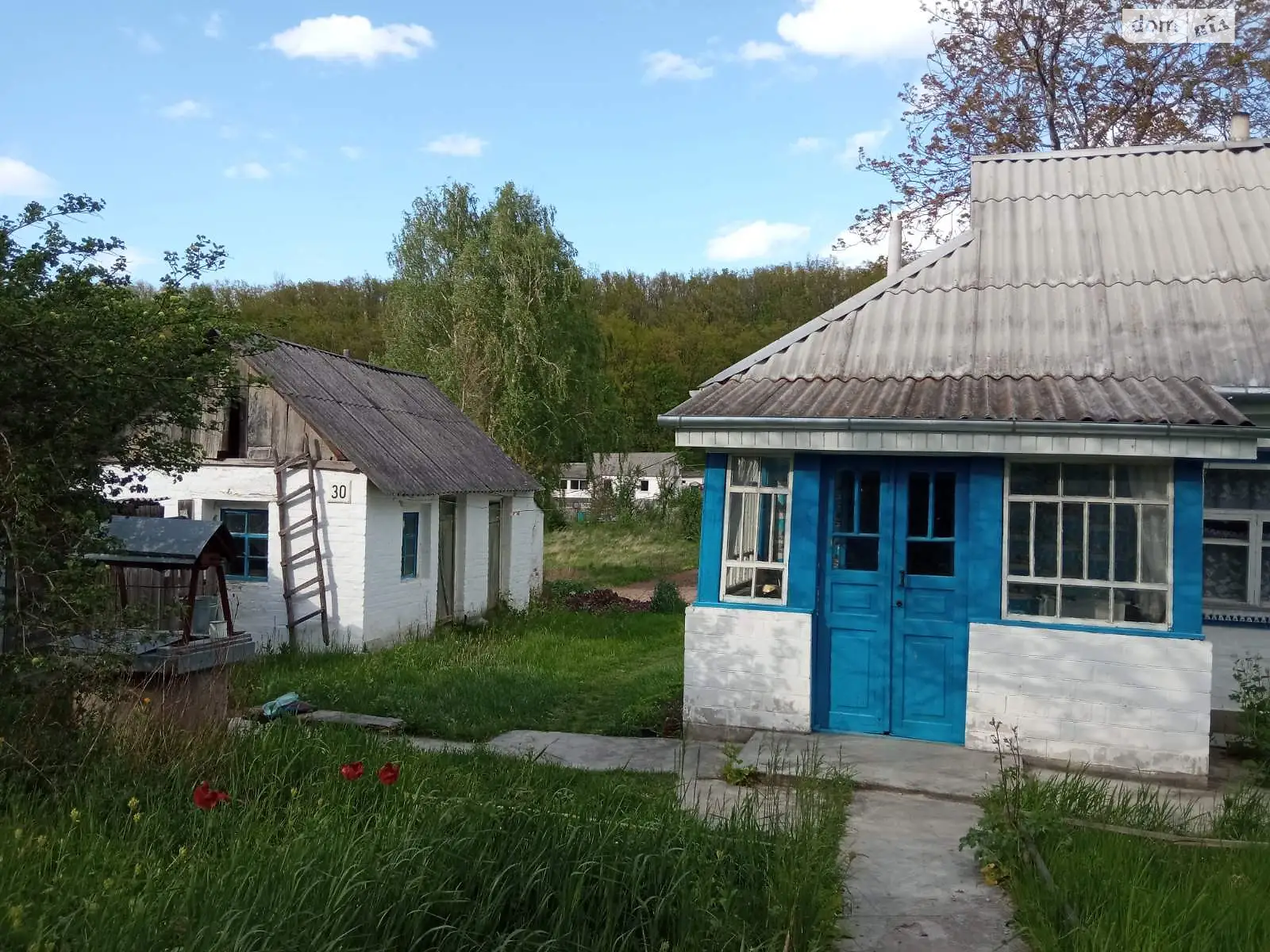 Продається одноповерховий будинок 32 кв. м з каміном - фото 3