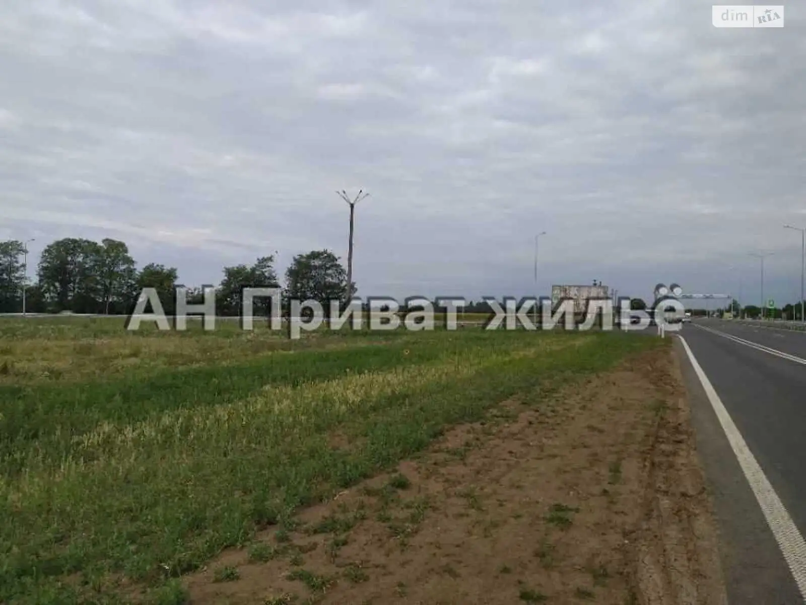 Продается земельный участок 60 соток в Полтавской области - фото 3