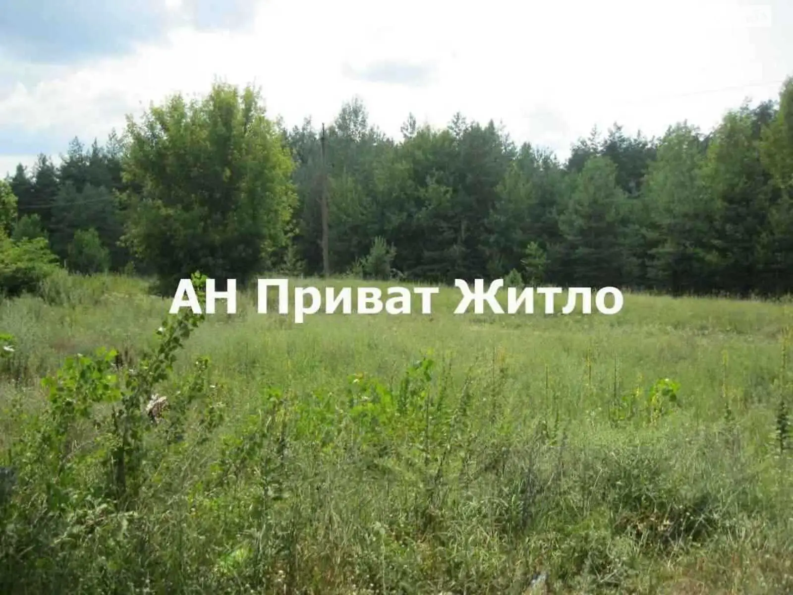 Продается земельный участок 27 соток в Полтавской области - фото 2