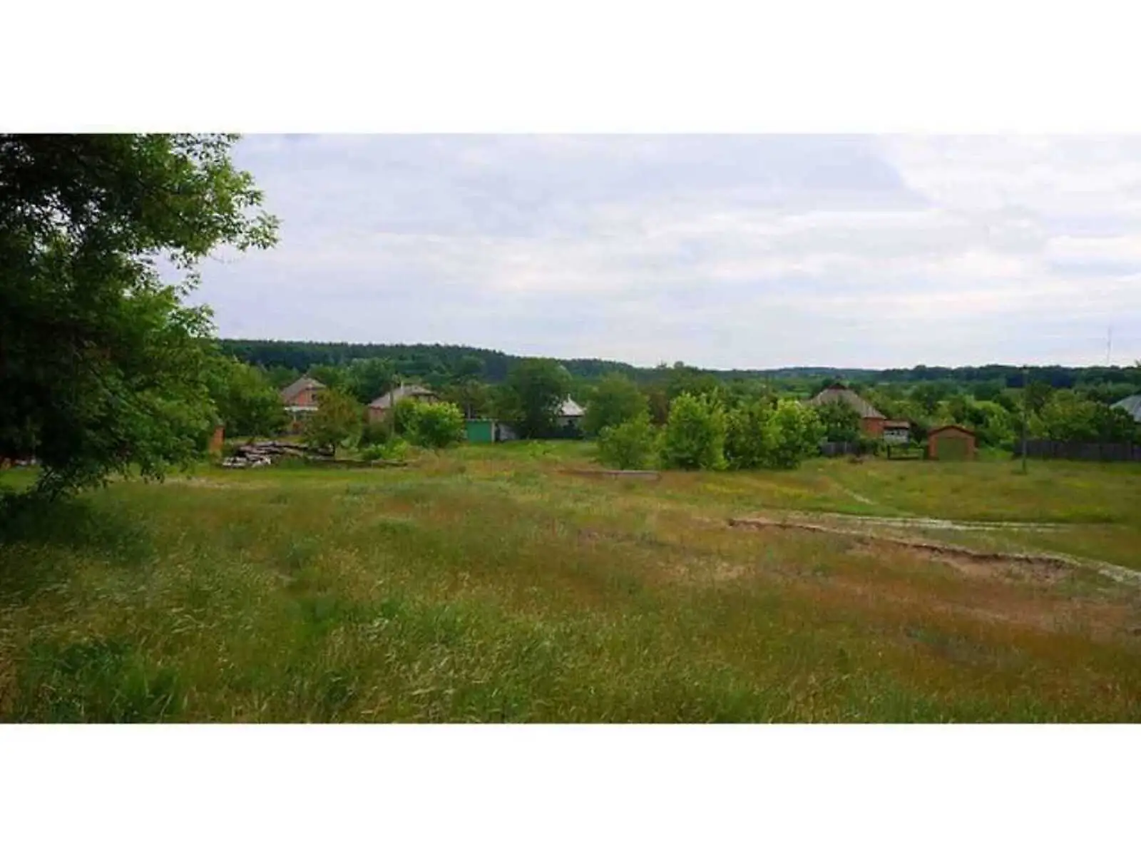 Продается земельный участок 25 соток в Полтавской области - фото 3