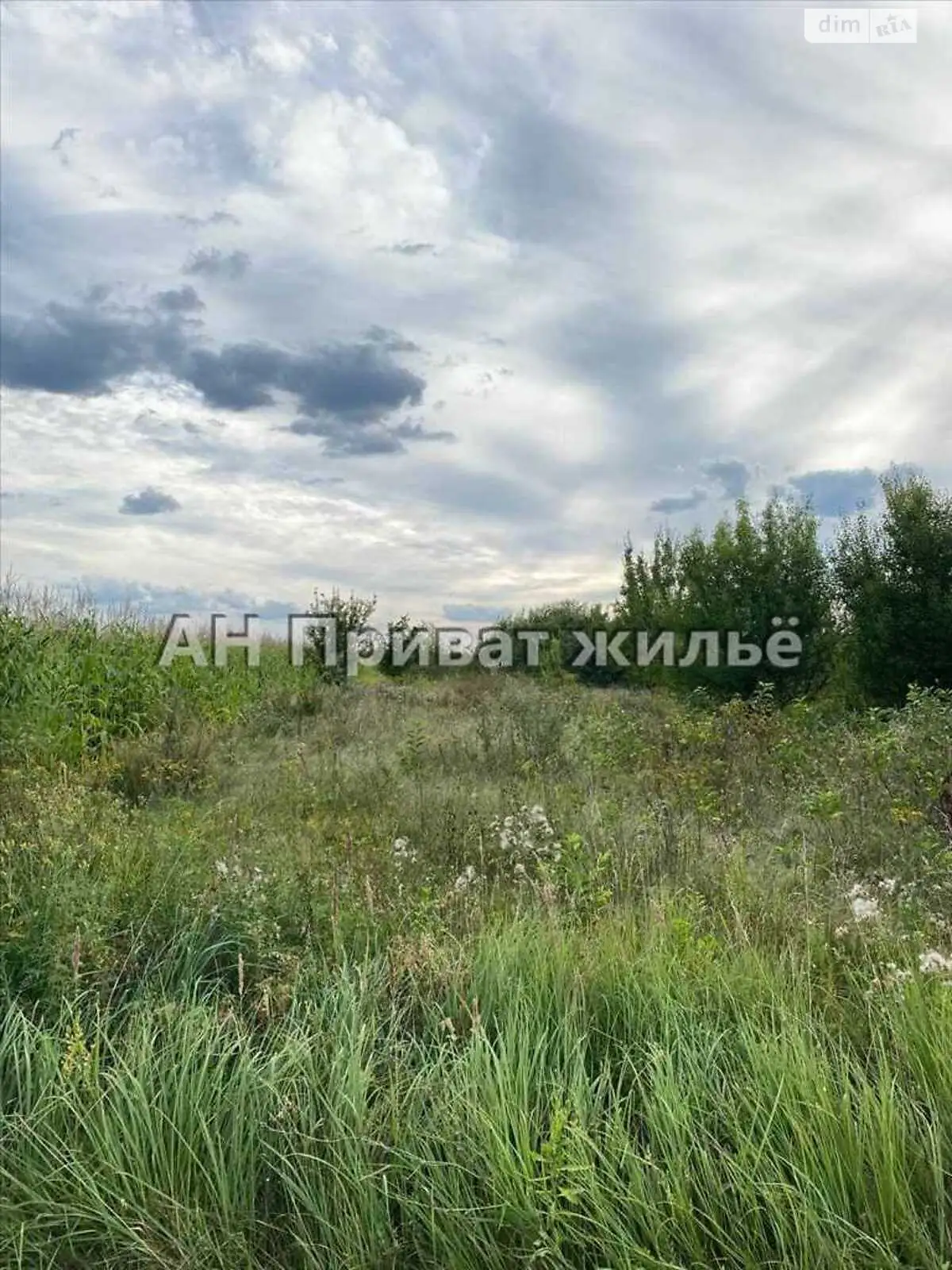 Продается земельный участок 21 соток в Полтавской области - фото 2
