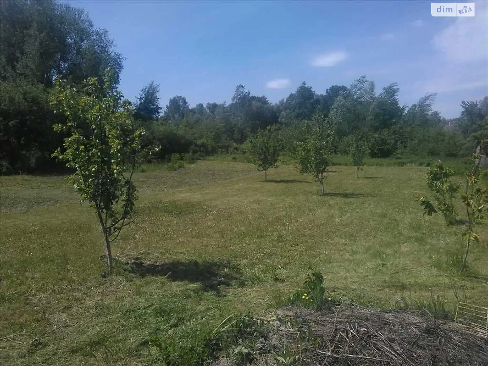 Продается земельный участок 20 соток в Полтавской области, цена: 6000 $
