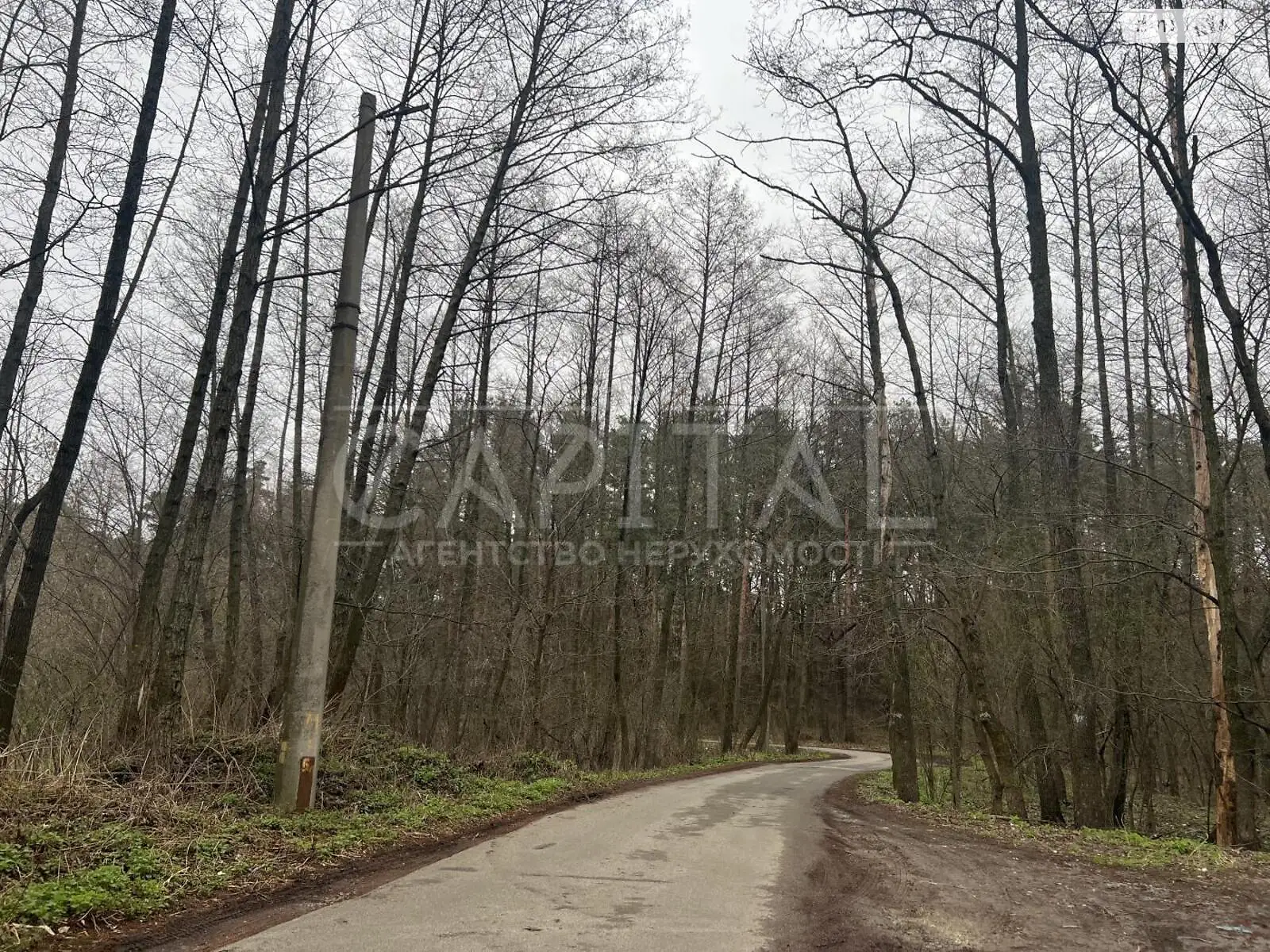 Продается земельный участок 18 соток в Киевской области - фото 2