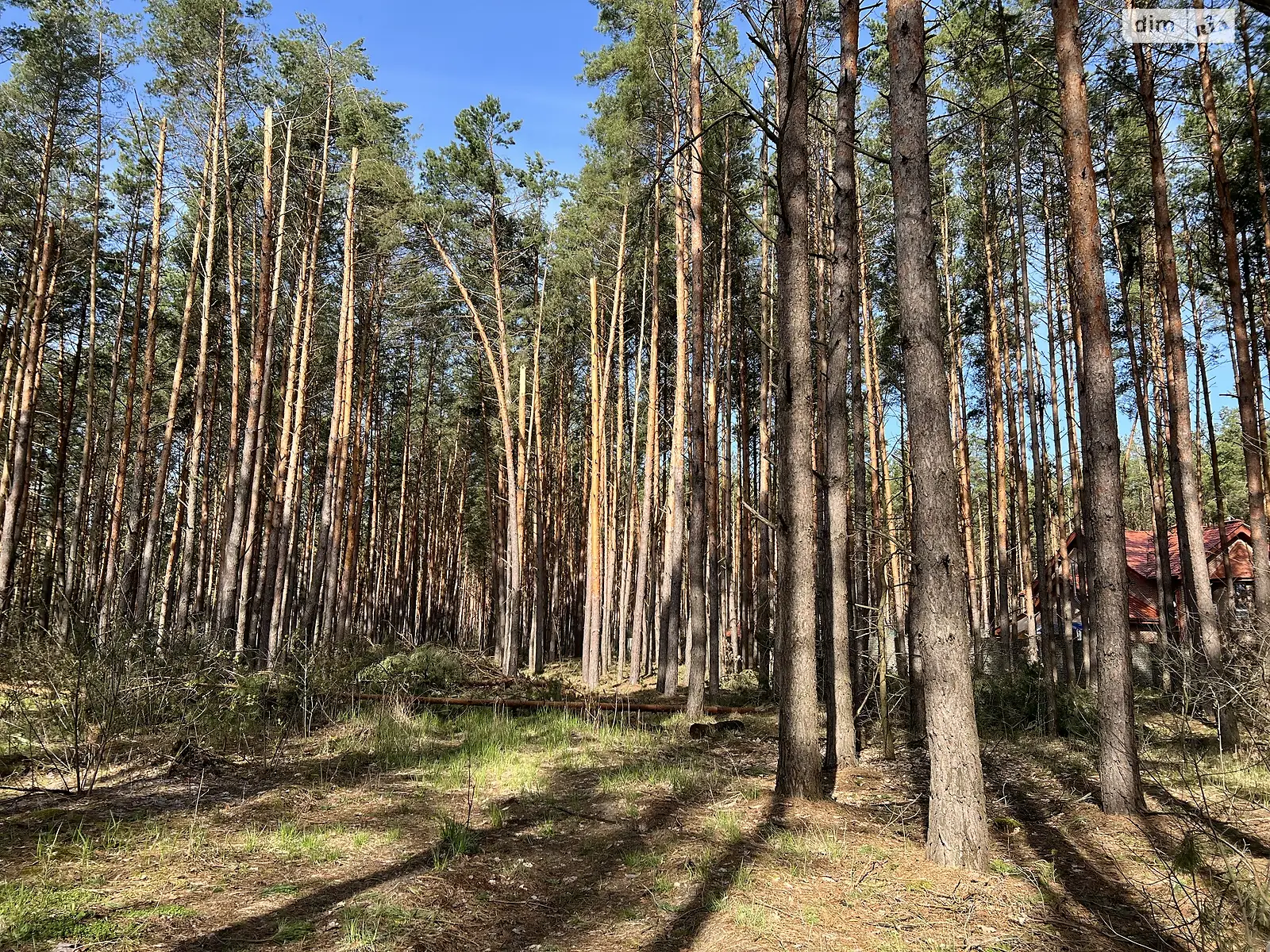 Продається земельна ділянка 40 соток у Київській області, цена: 64000 $