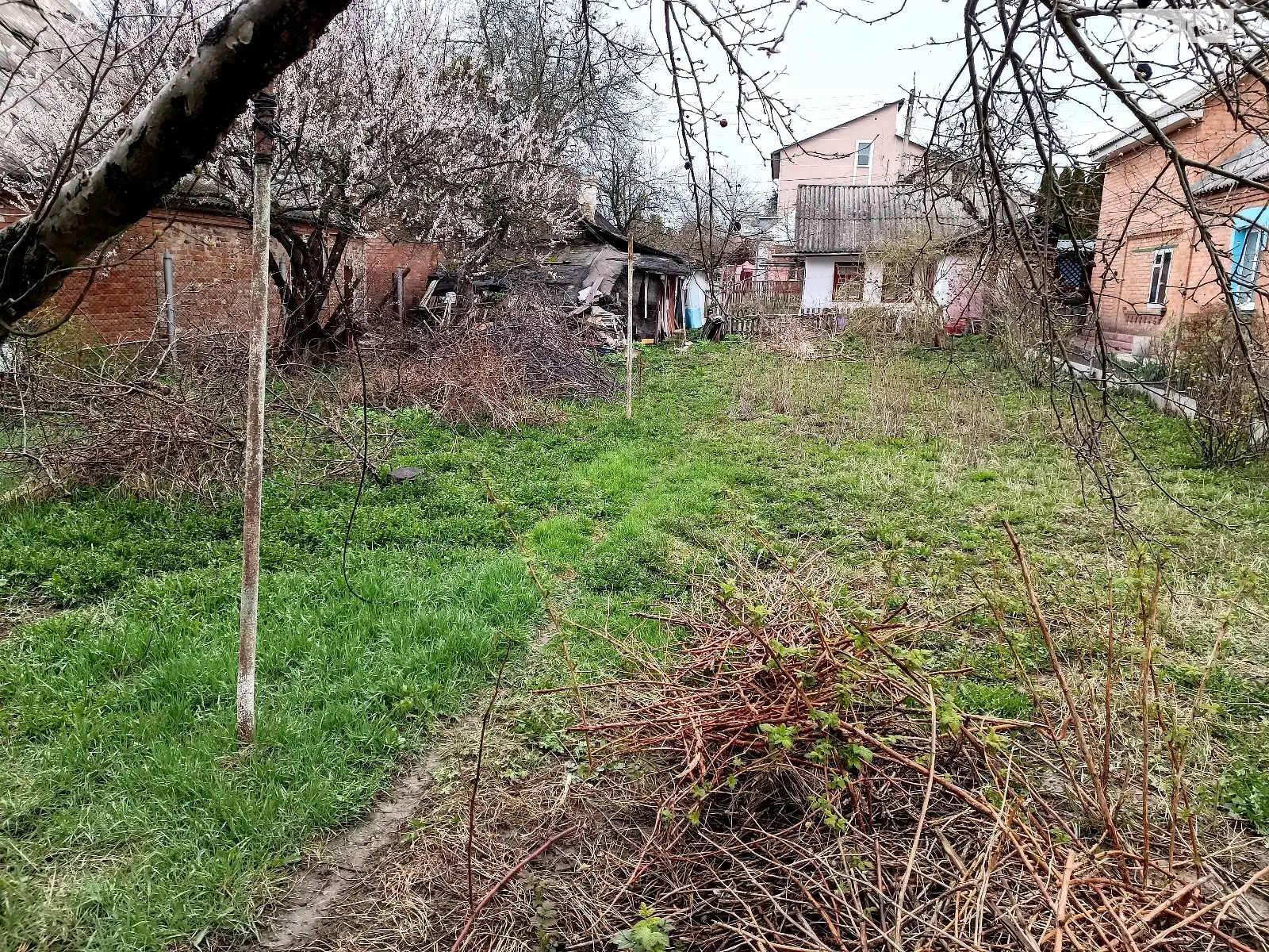 Продается земельный участок 6.06 соток в Винницкой области - фото 4