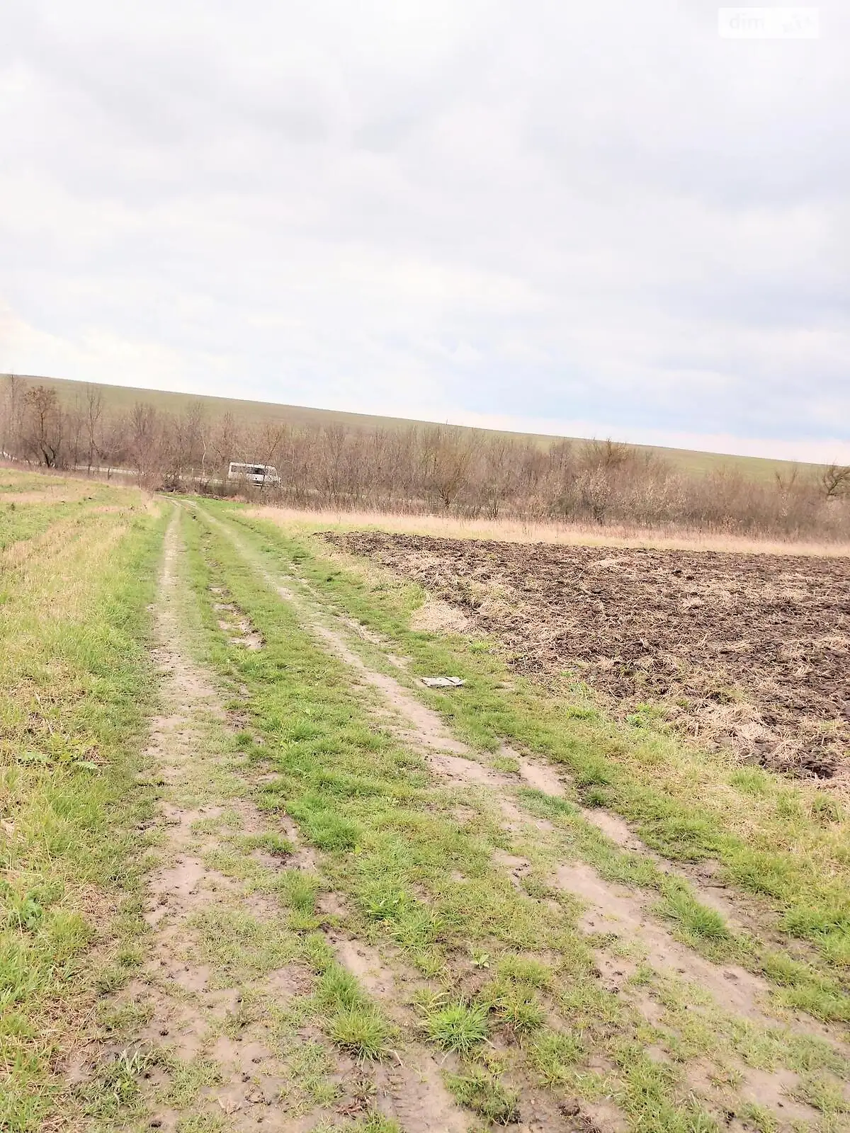 Продается земельный участок 25 соток в Ровенской области - фото 2
