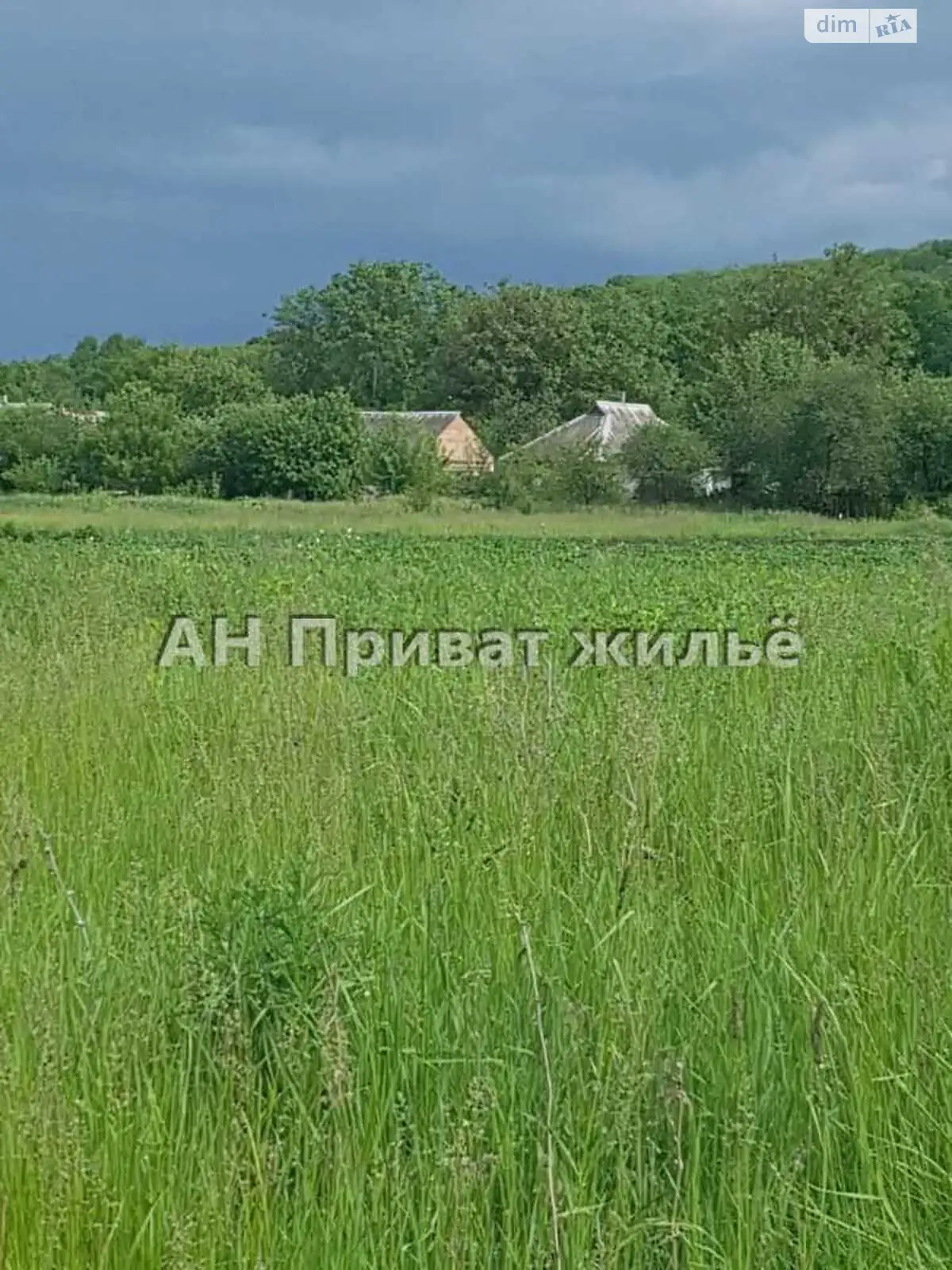 Продается земельный участок 15 соток в Полтавской области - фото 2