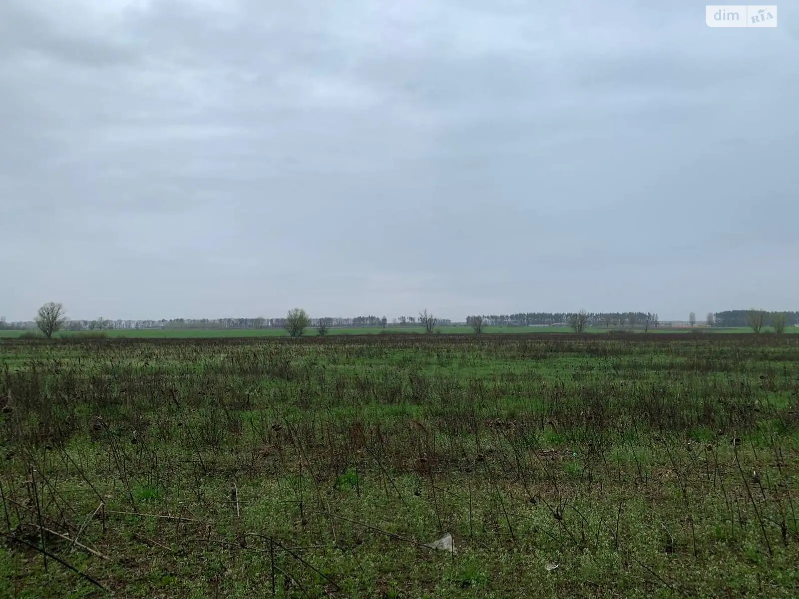 Продается земельный участок 153 соток в Киевской области, цена: 45900 $