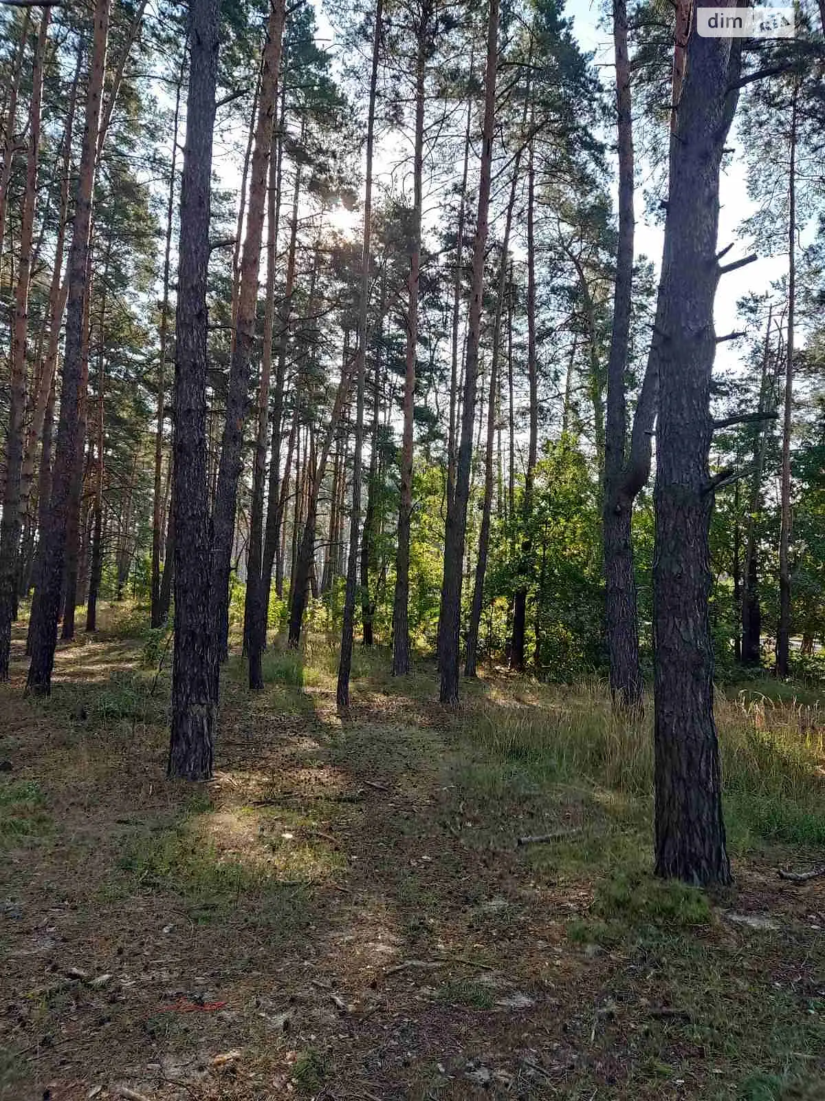 Продается земельный участок 10 соток в Киевской области, цена: 100000 $