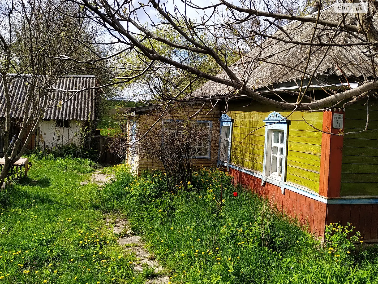 Продается земельный участок 32 соток в Киевской области - фото 2