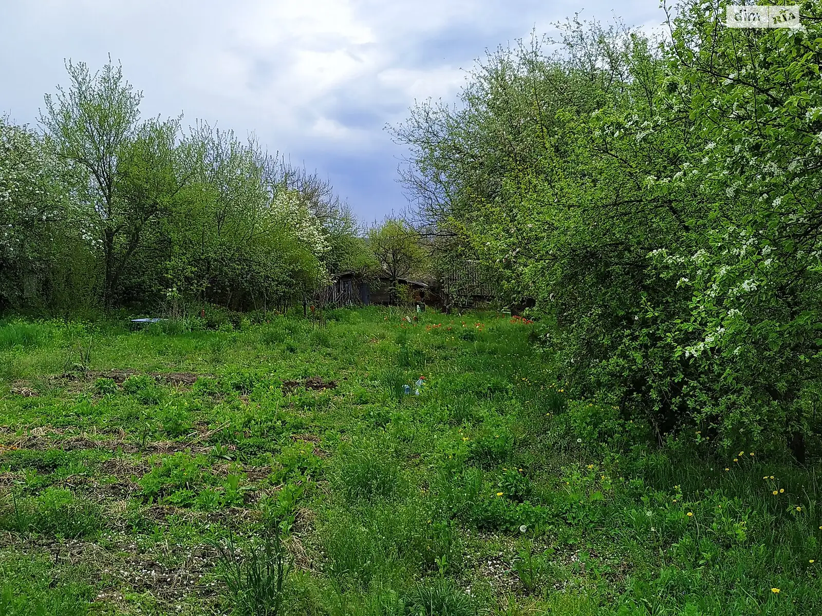 Продается земельный участок 32 соток в Киевской области - фото 4