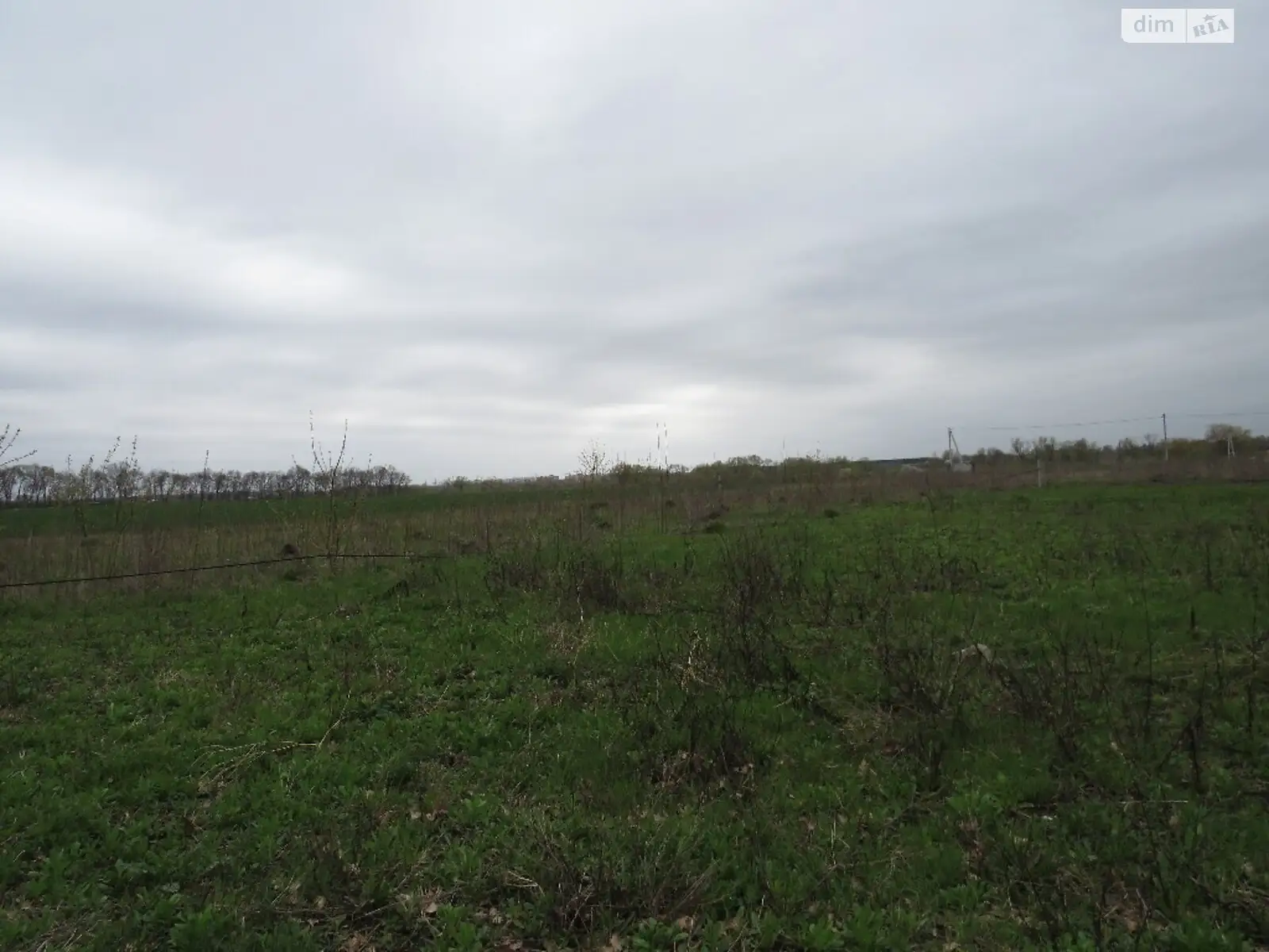 Продается земельный участок 18 соток в Винницкой области - фото 3