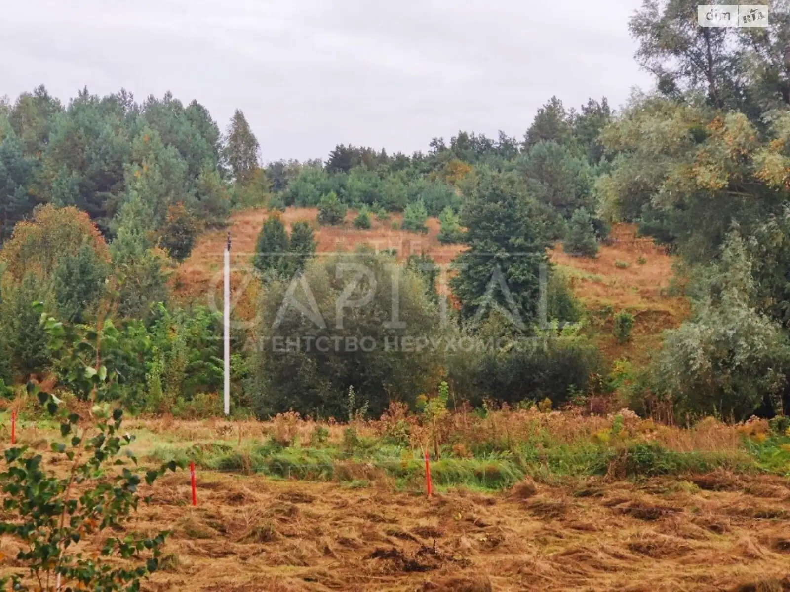 Продается земельный участок 120 соток в Киевской области - фото 2