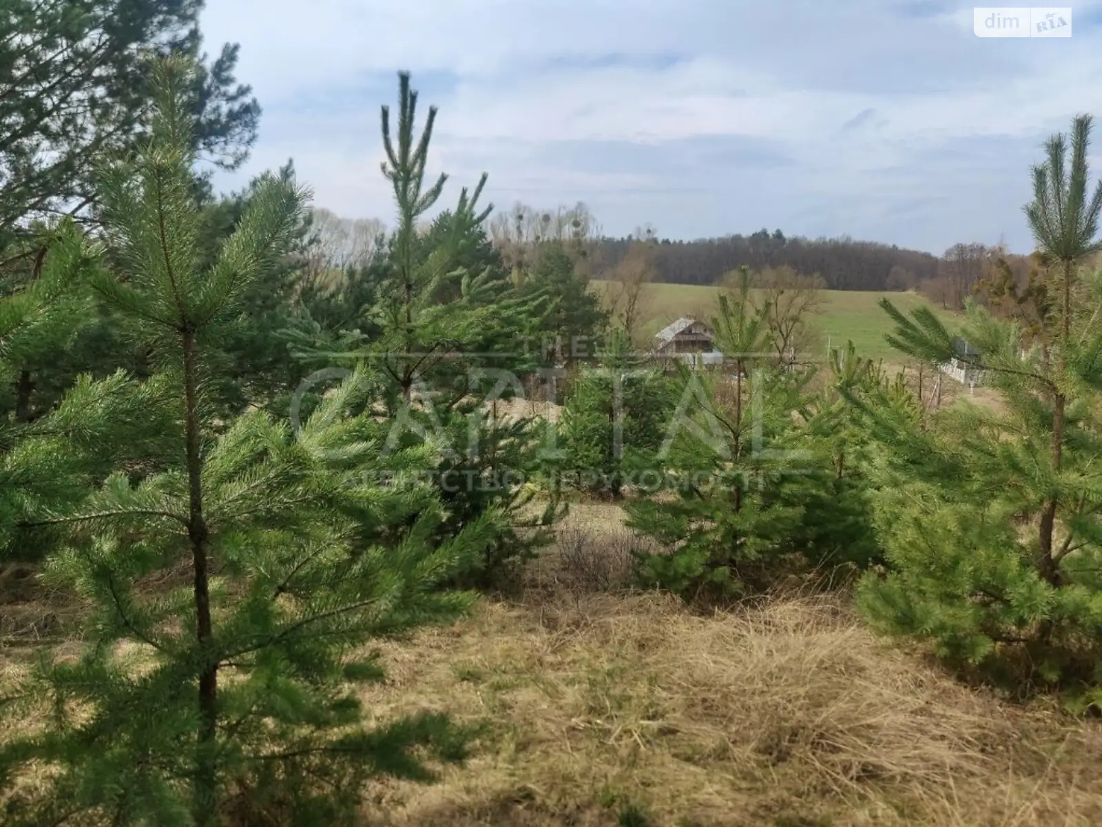 Продается земельный участок 120 соток в Киевской области, цена: 178800 $