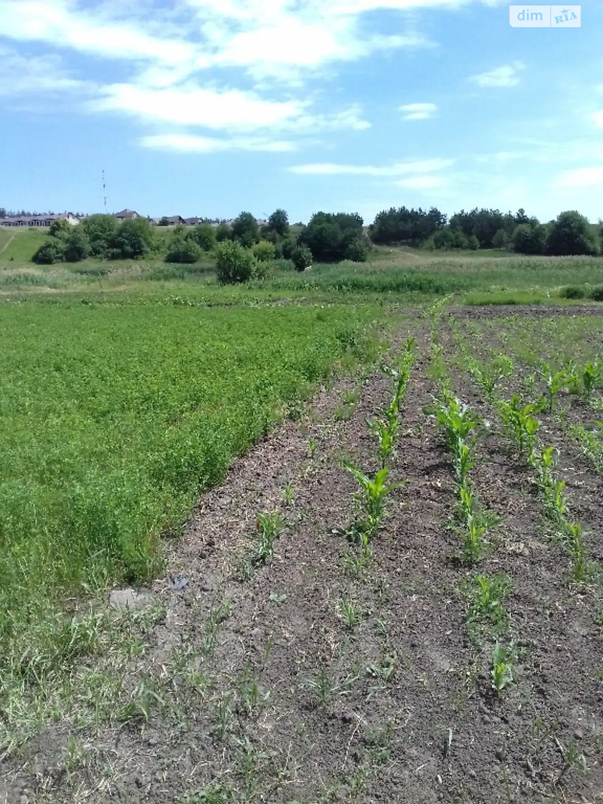 Продається земельна ділянка 10.3 соток у Вінницькій області, цена: 10500 $