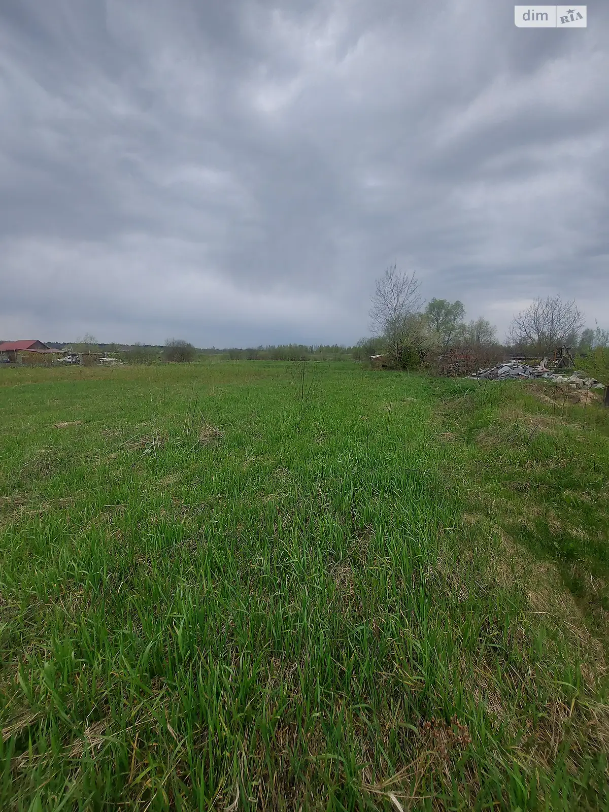 Продается земельный участок 20 соток в Житомирской области - фото 3
