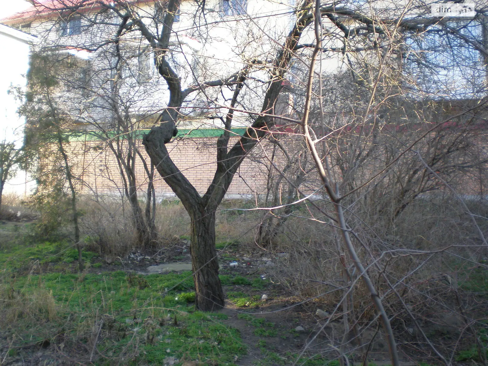  Сухой фонтан,Николаев   - фото 2