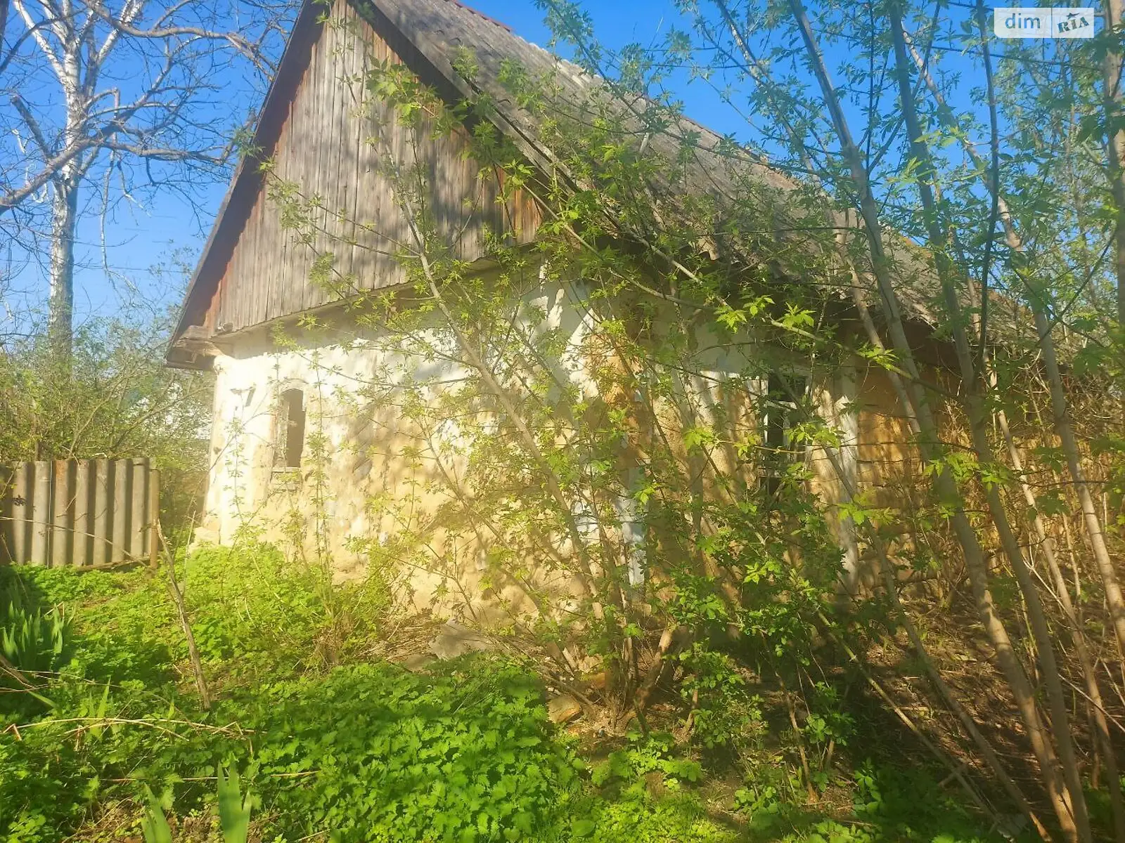 Продается земельный участок 25 соток в Житомирской области, цена: 13500 $ - фото 1