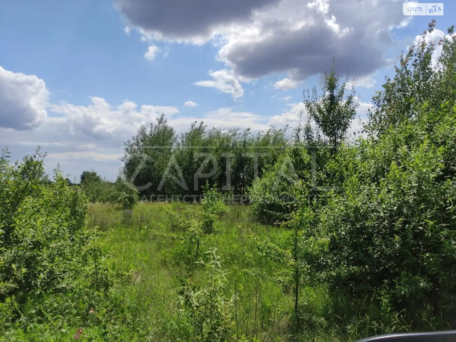 Продается земельный участок 165 соток в Киевской области, цена: 110000 $