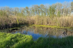 Куплю дом в Изюме без посредников