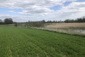 Куплю недвижимость Волынской области