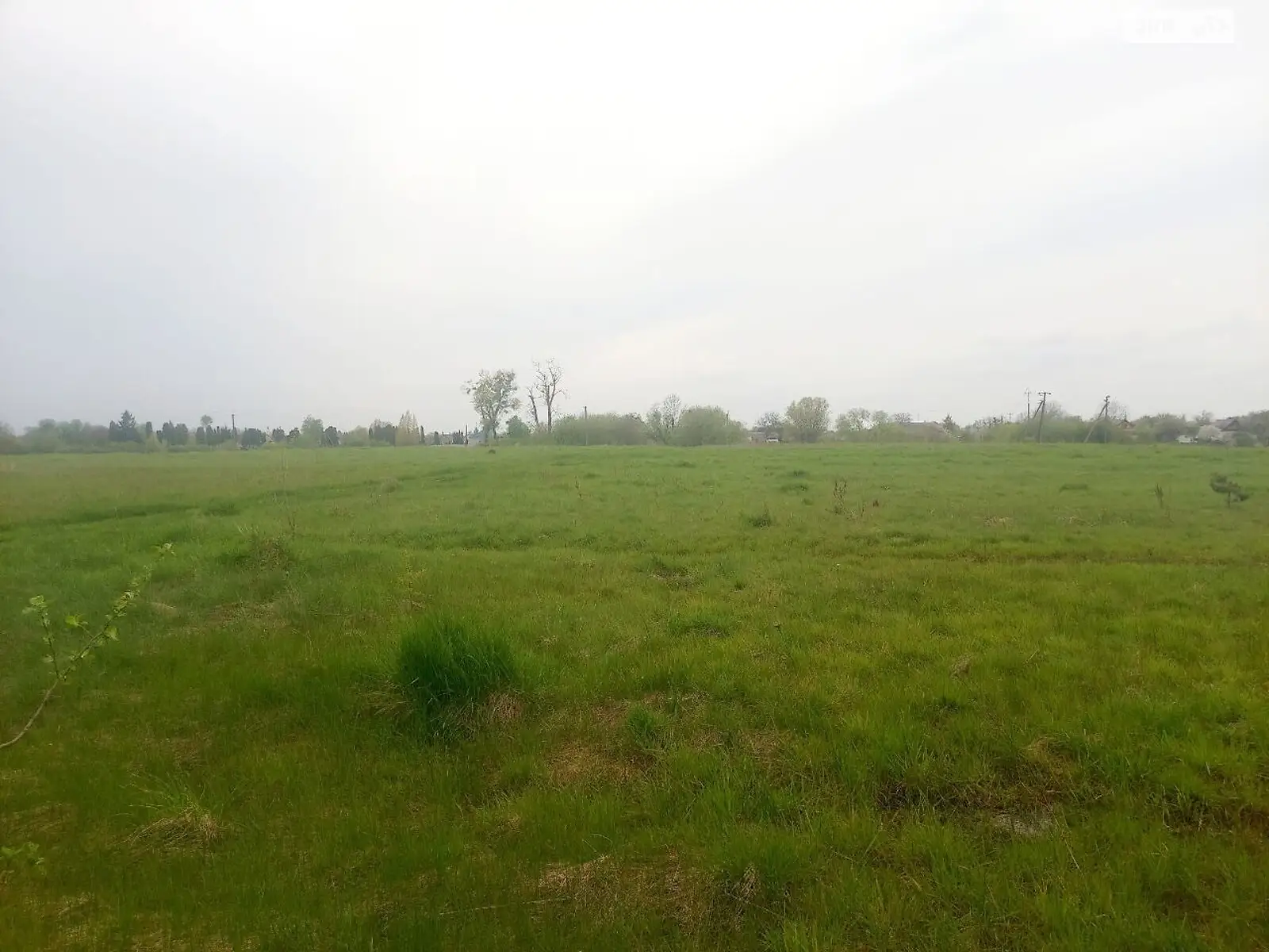 Продается земельный участок 14 соток в Житомирской области - фото 3