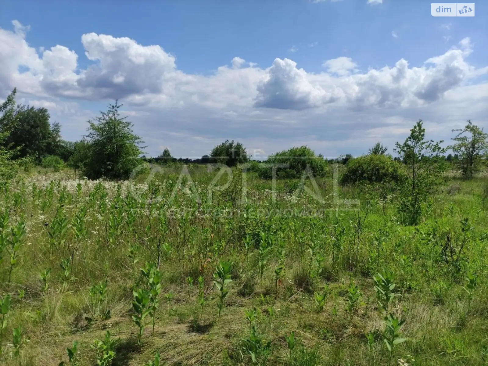Продається земельна ділянка 1000 соток у Київській області - фото 3